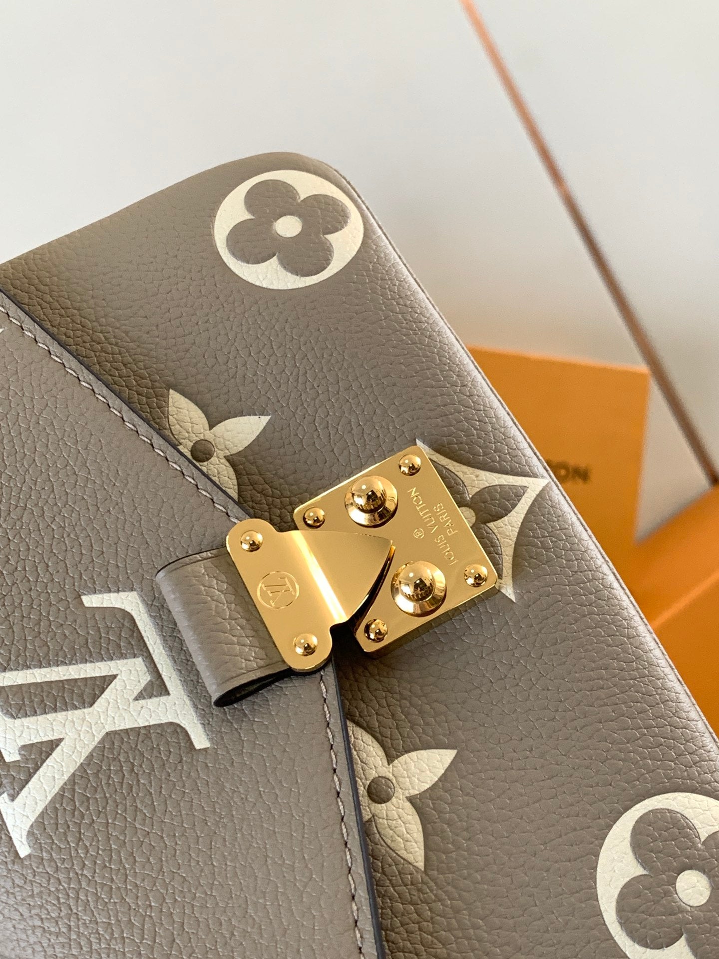 Louis Vuitton Handbag