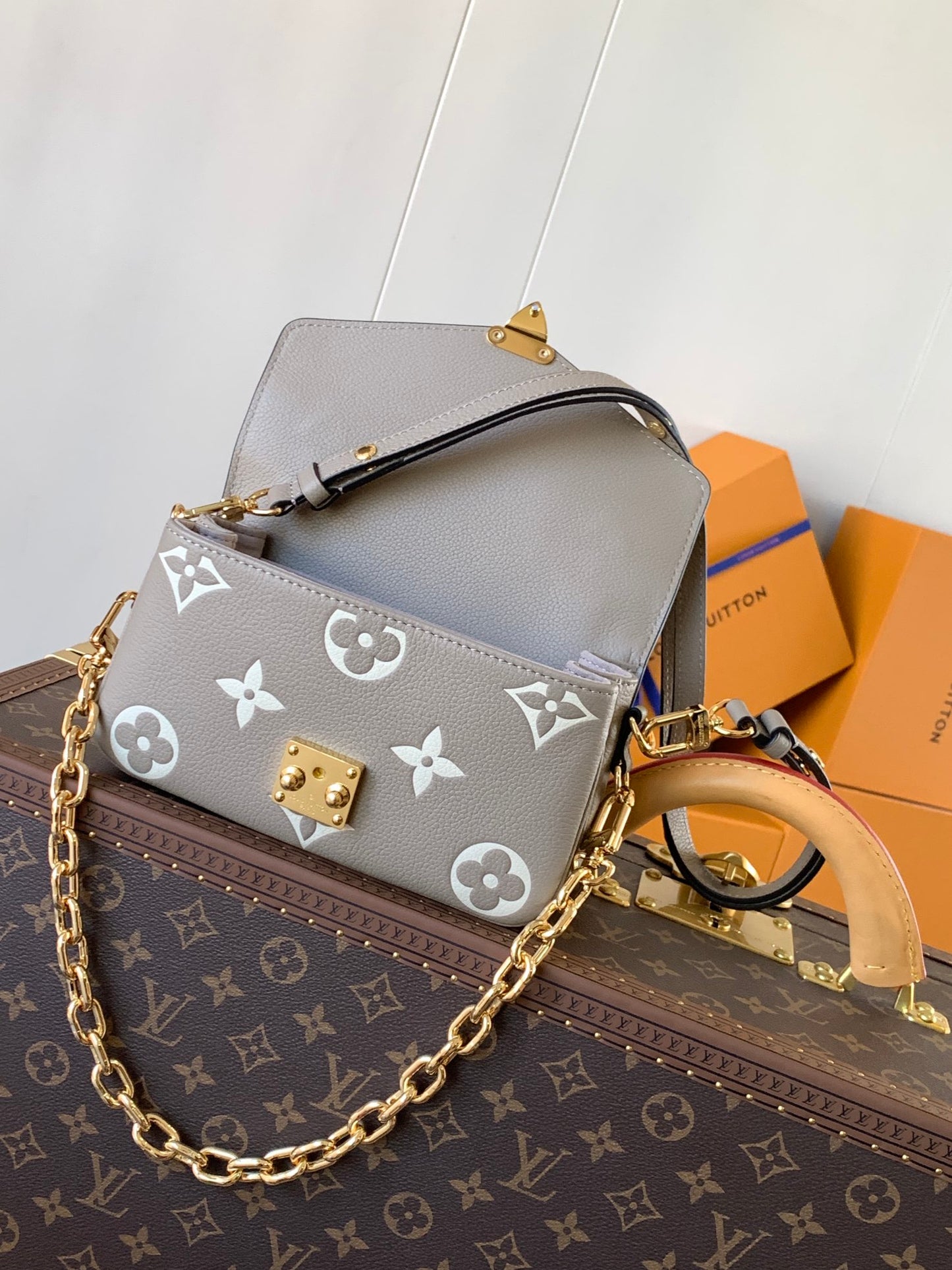 Louis Vuitton Handbag
