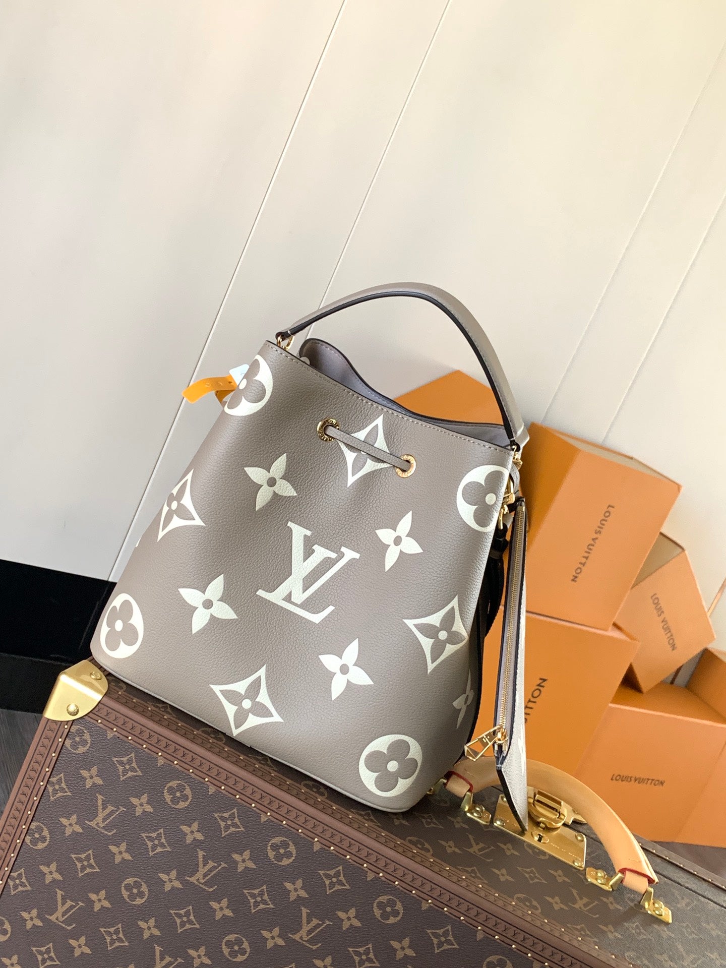 Louis Vuitton Handbag