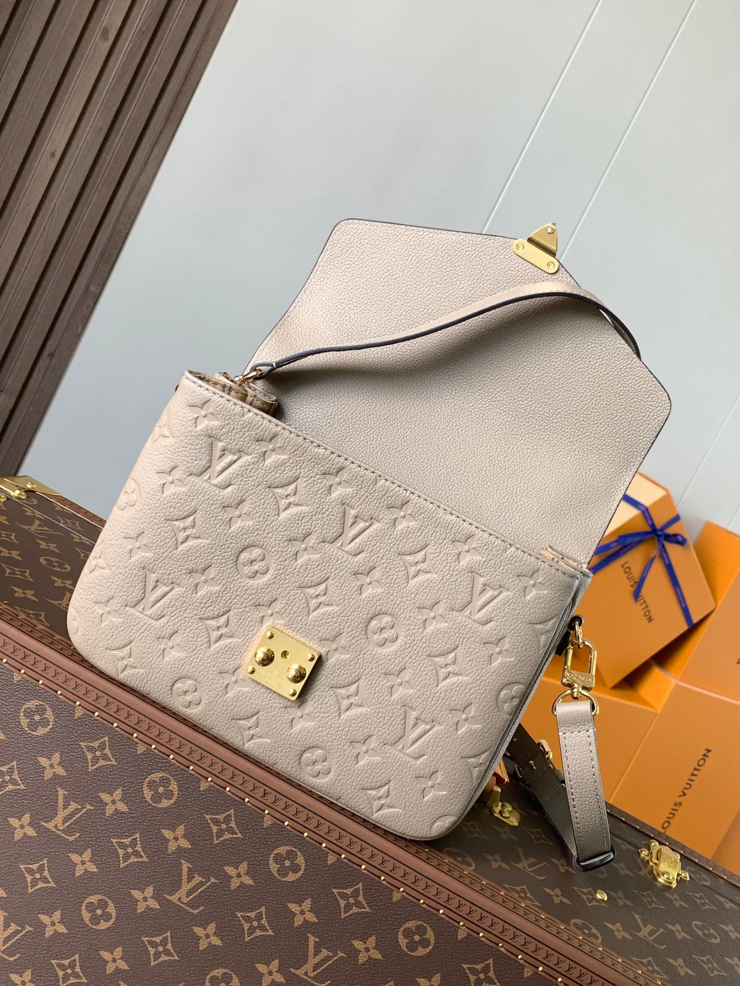 Louis Vuitton Handbag