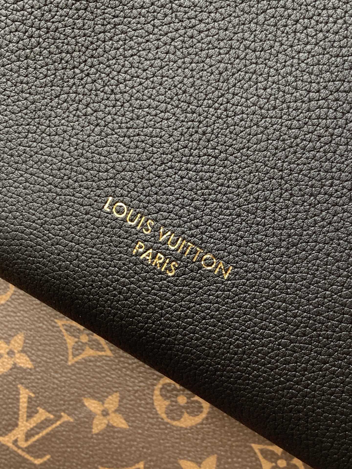 Louis Vuitton Handbag