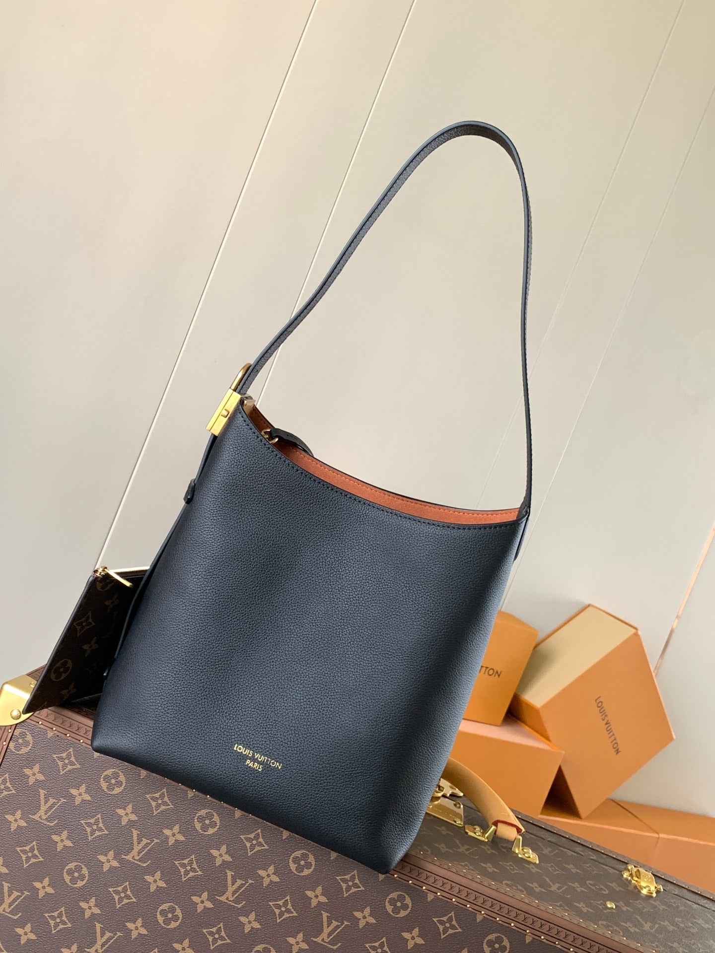 Louis Vuitton Handbag