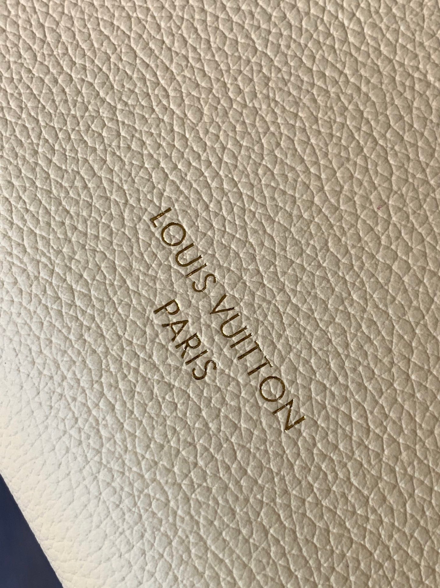 Louis Vuitton Handbag