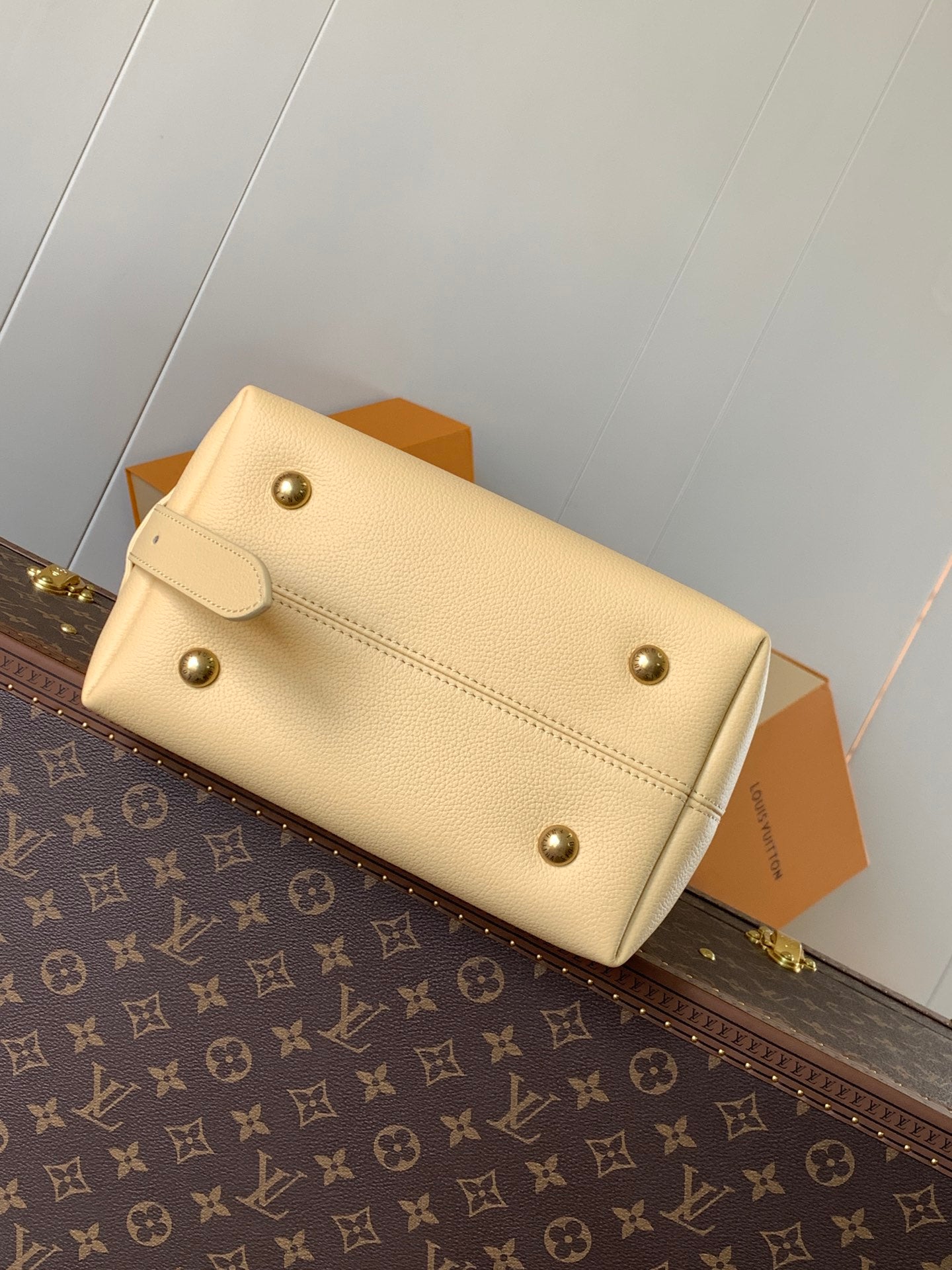 Louis Vuitton Handbag
