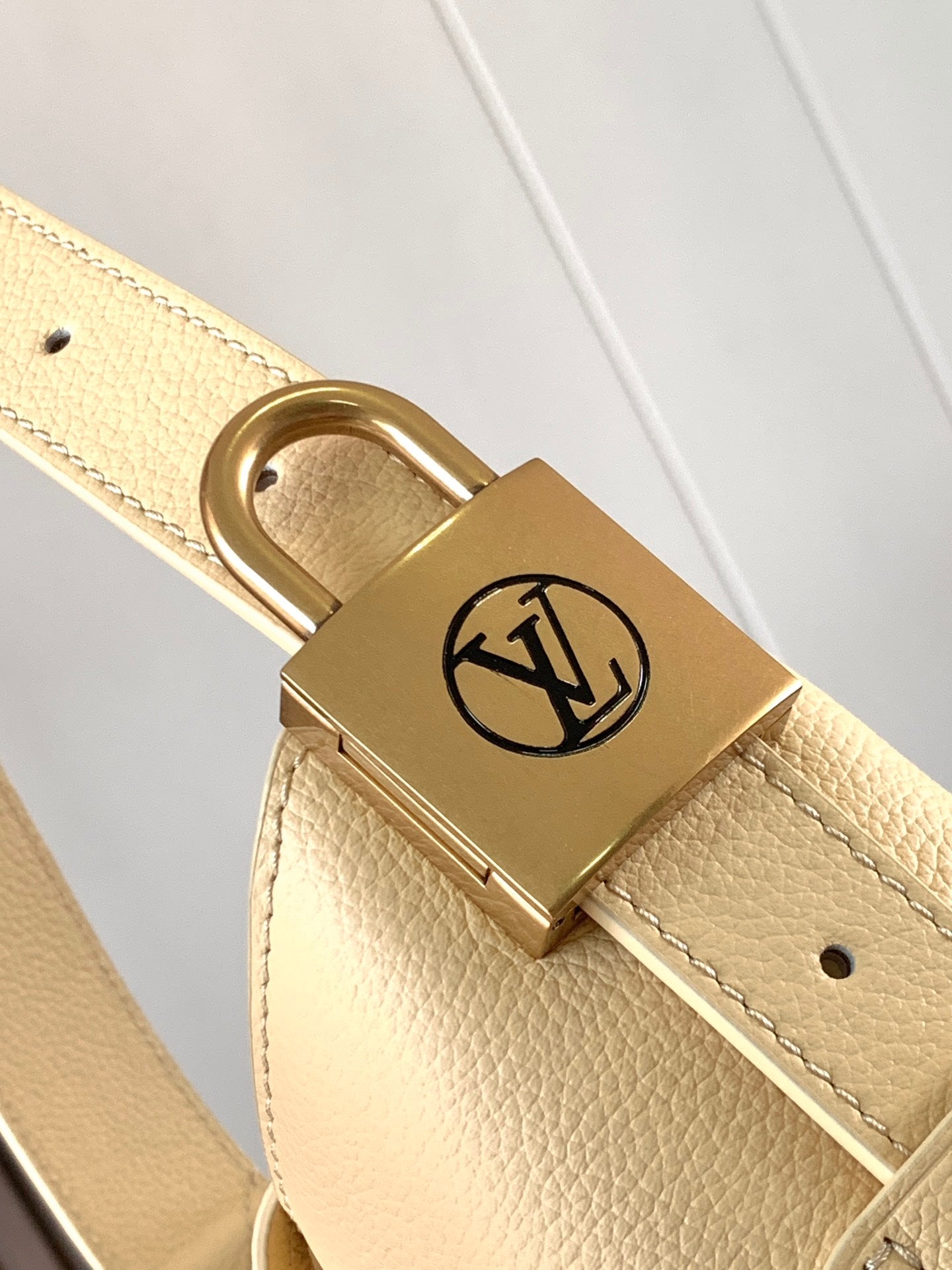 Louis Vuitton Handbag