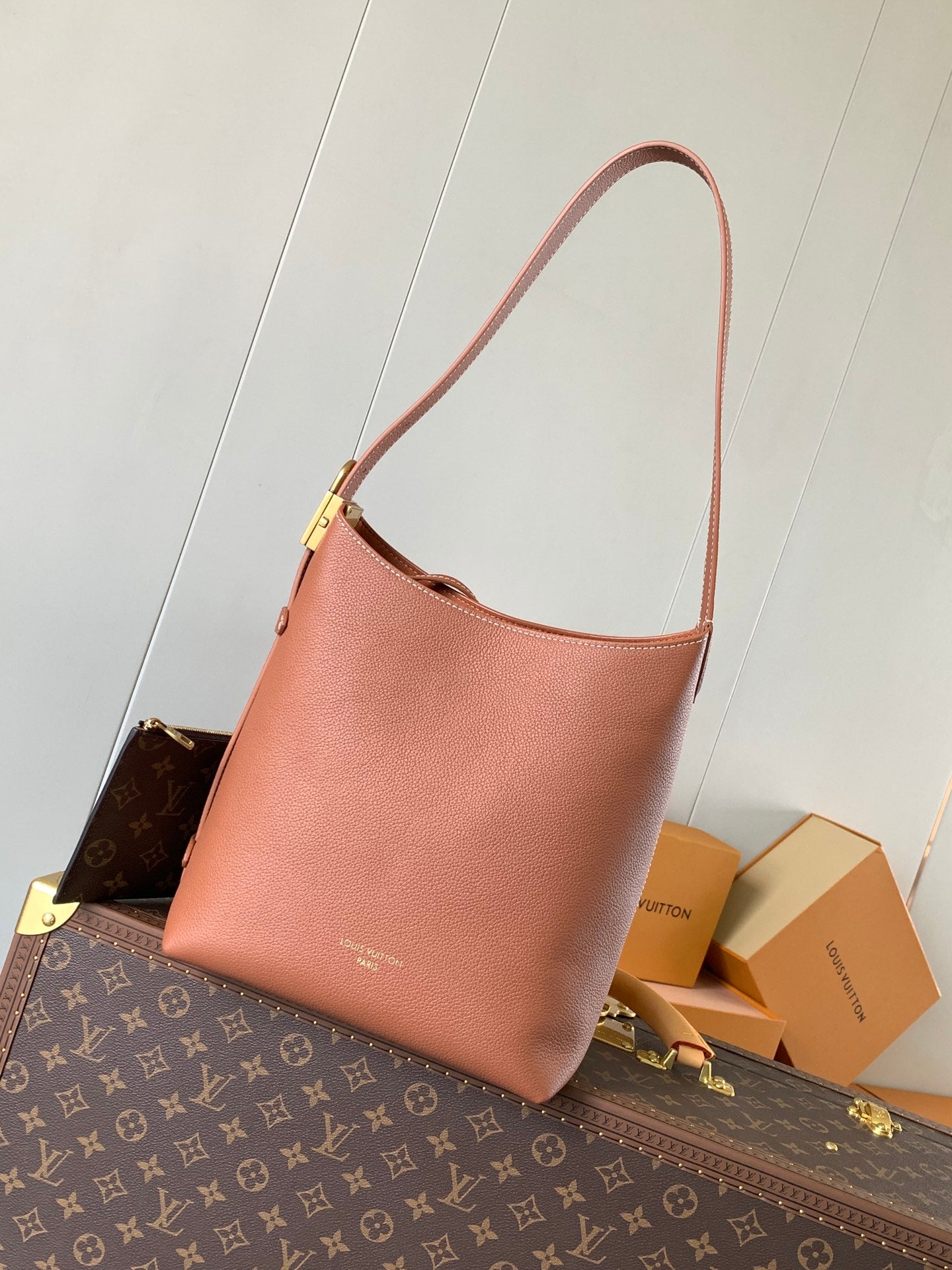 Louis Vuitton Handbag