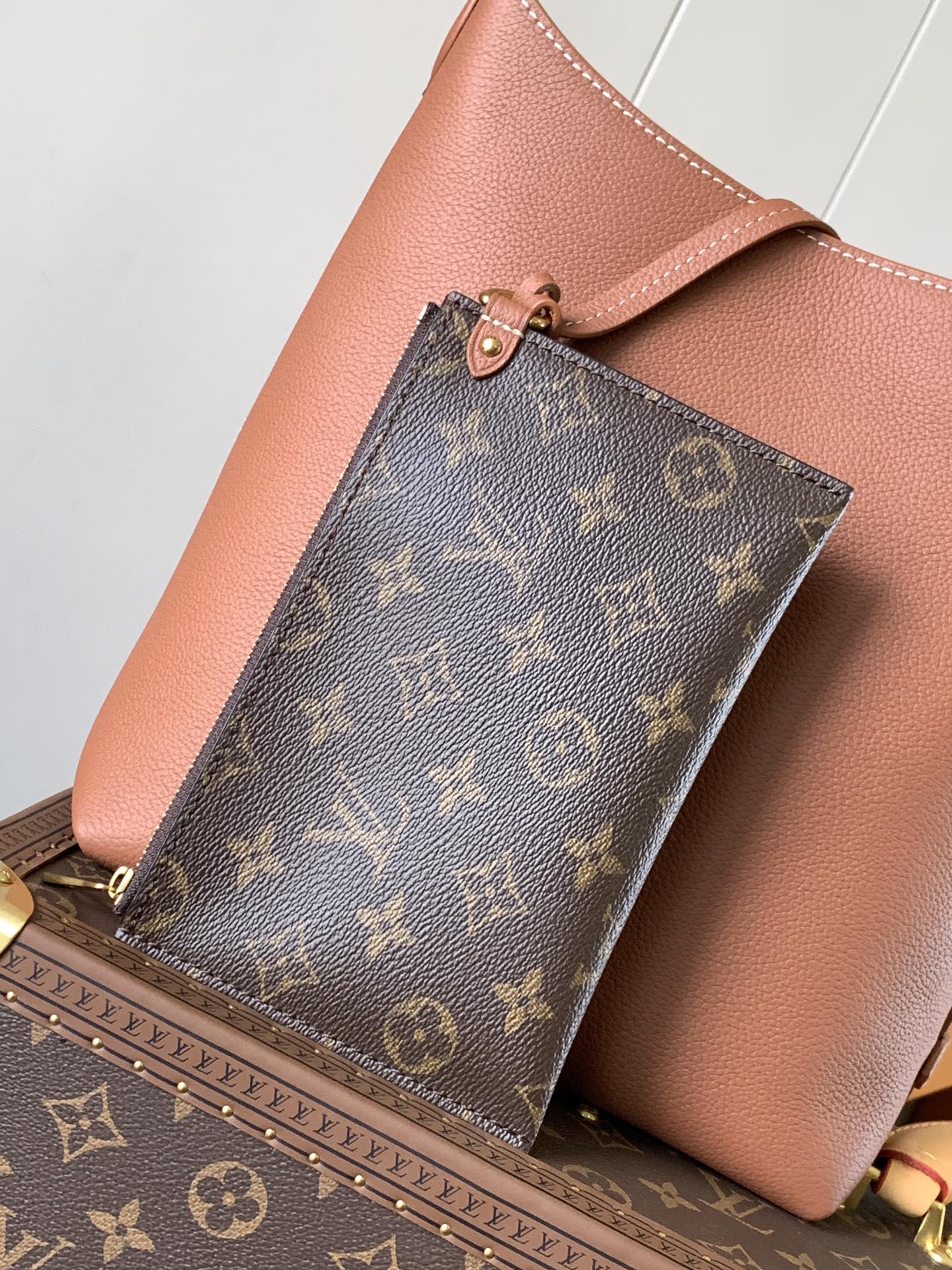 Louis Vuitton Handbag