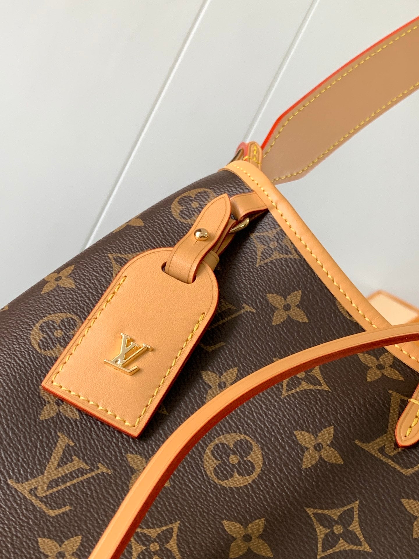 Louis Vuitton Handbag