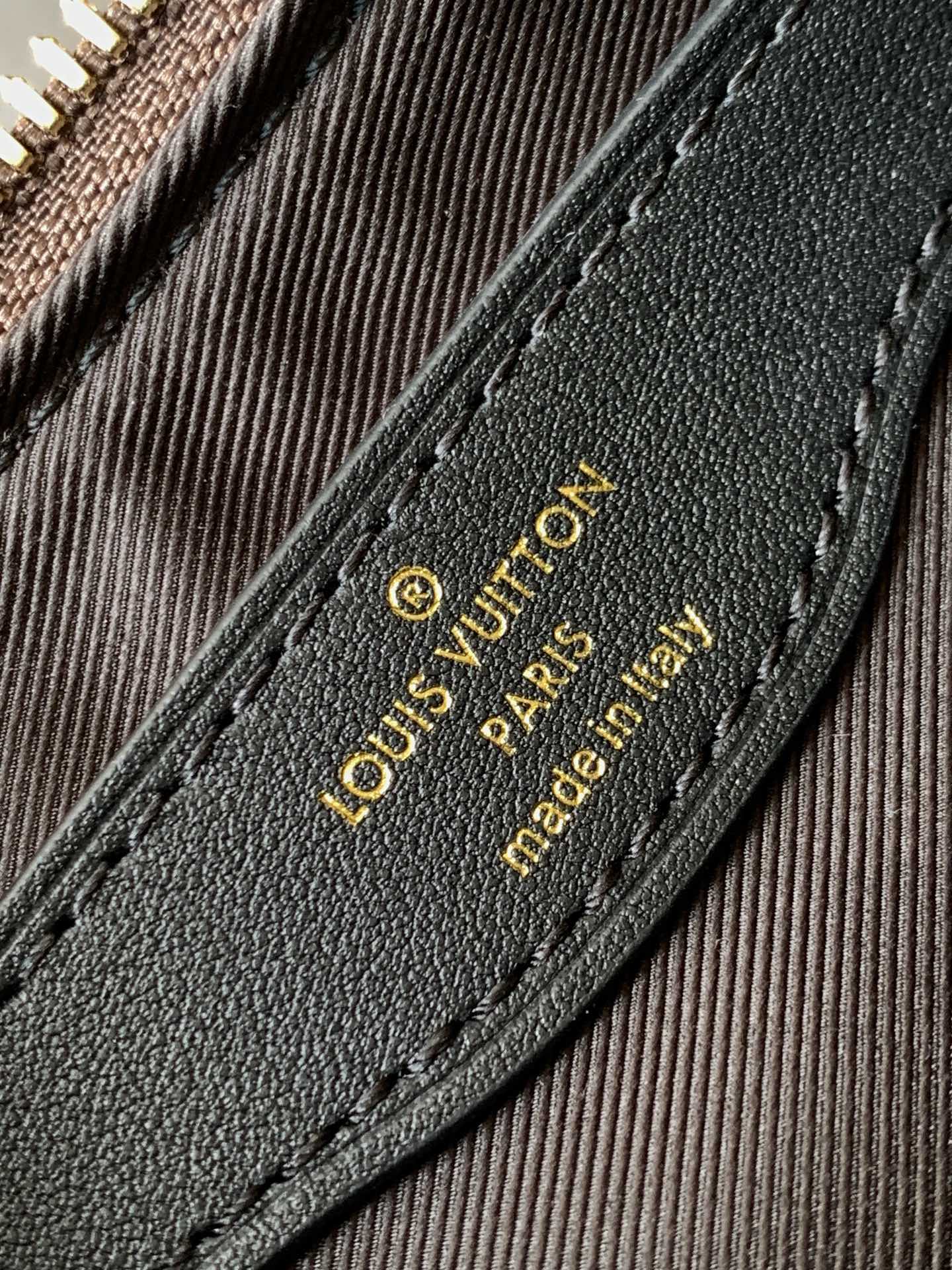 Louis Vuitton Handbag