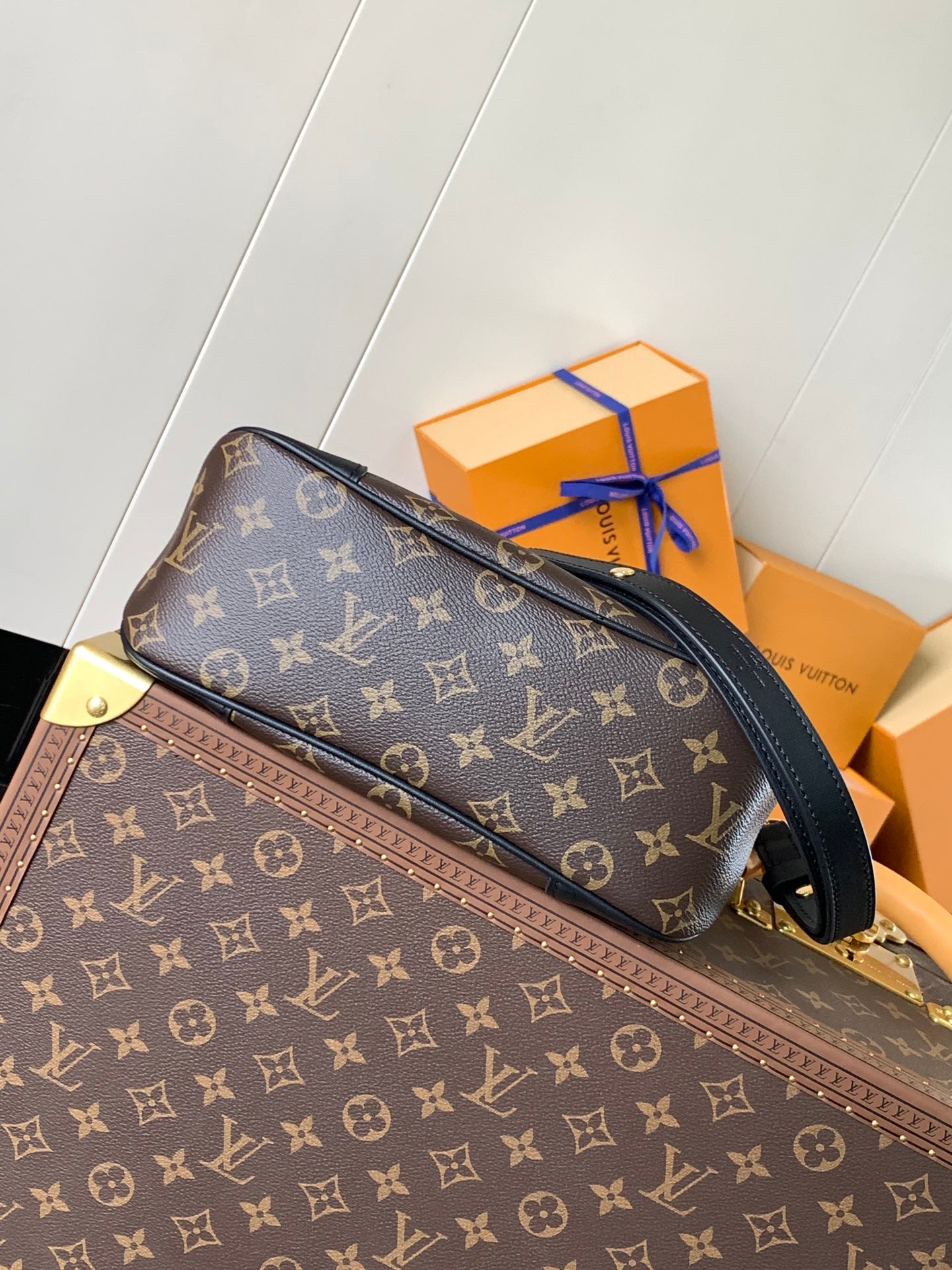 Louis Vuitton Handbag