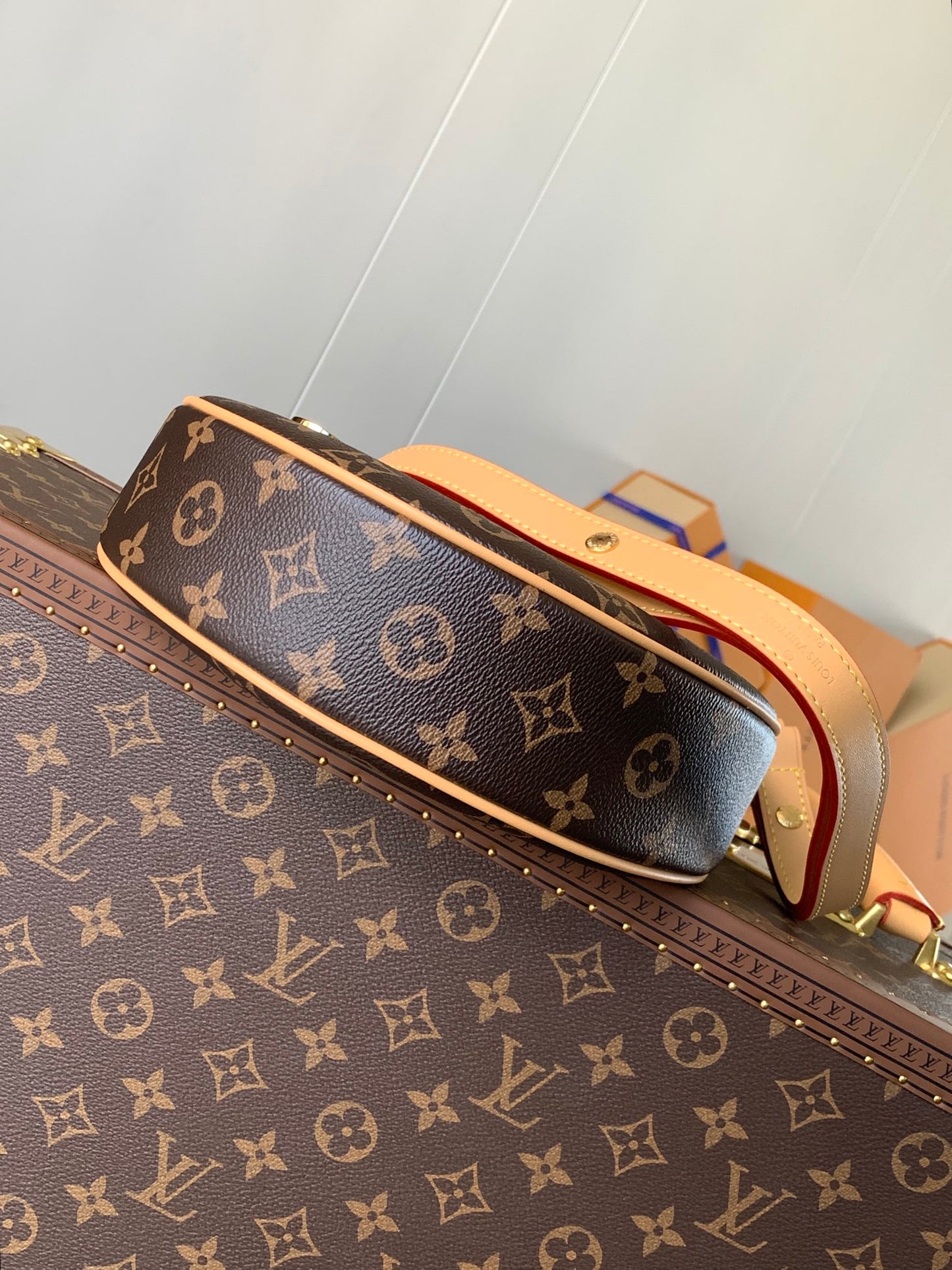 Louis Vuitton Handbag