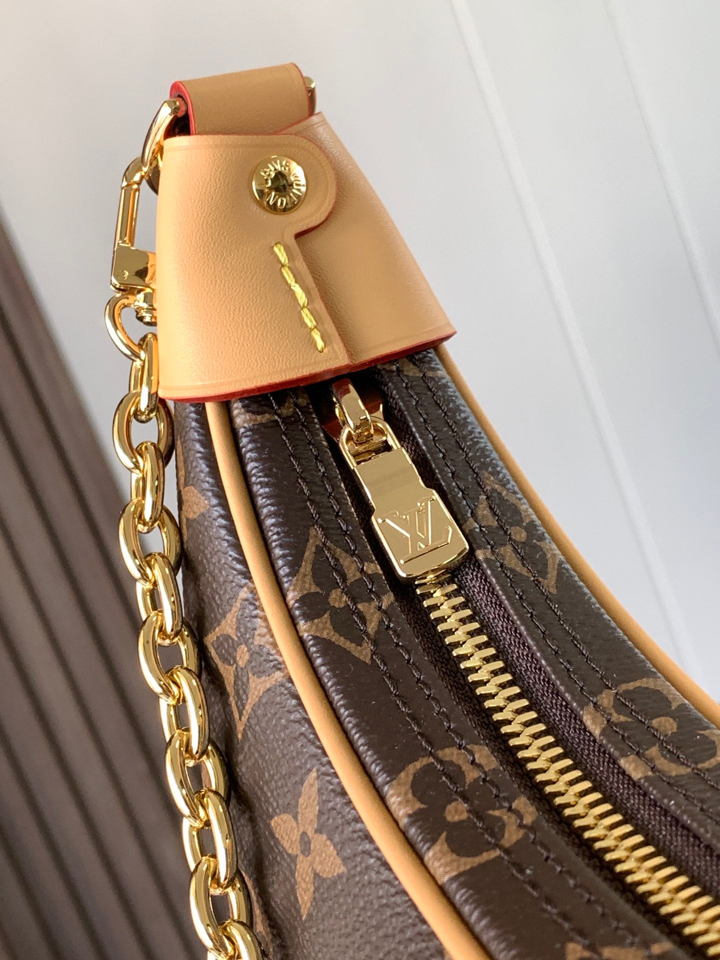Louis Vuitton Handbag