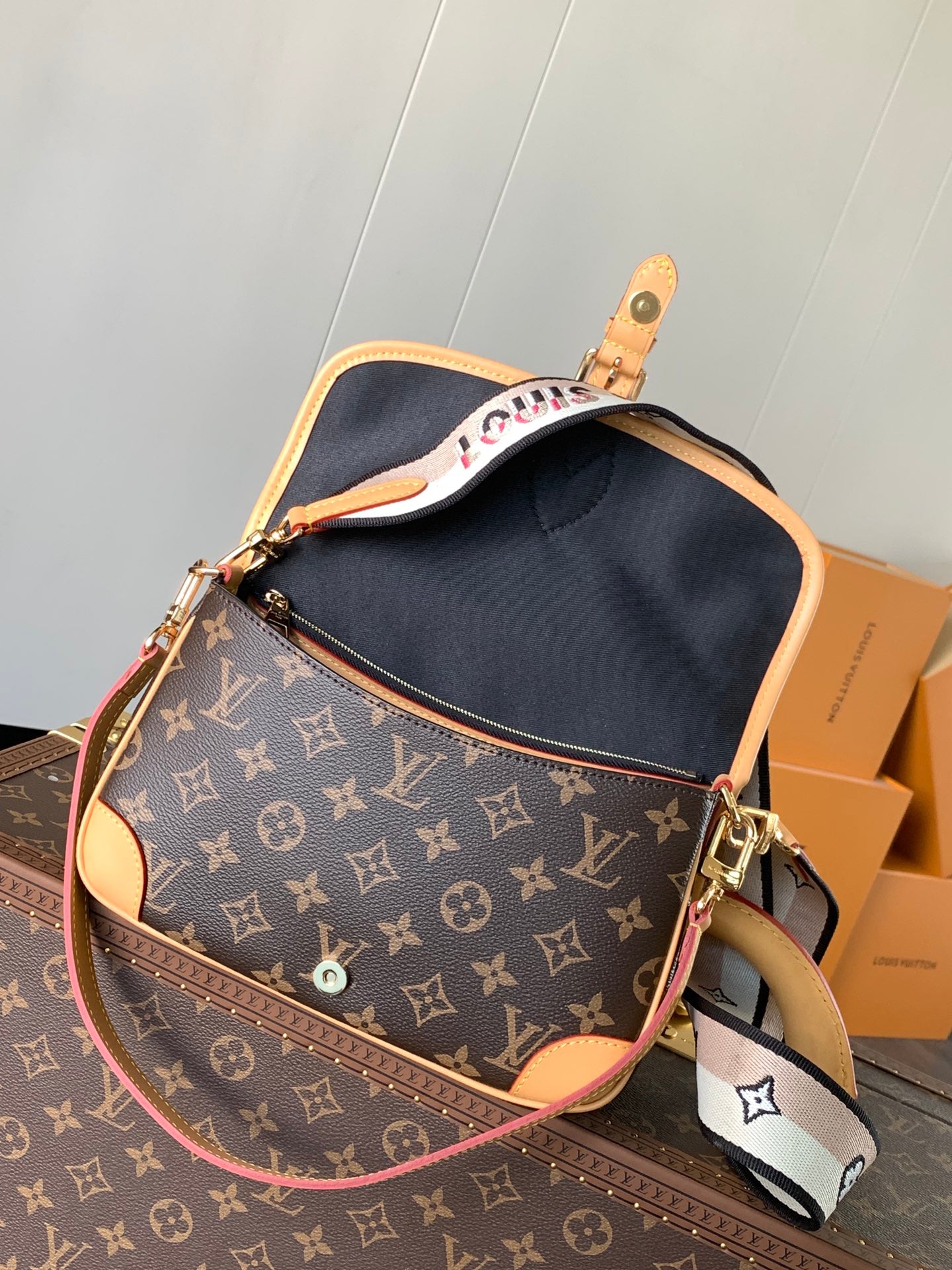 Louis Vuitton Handbag