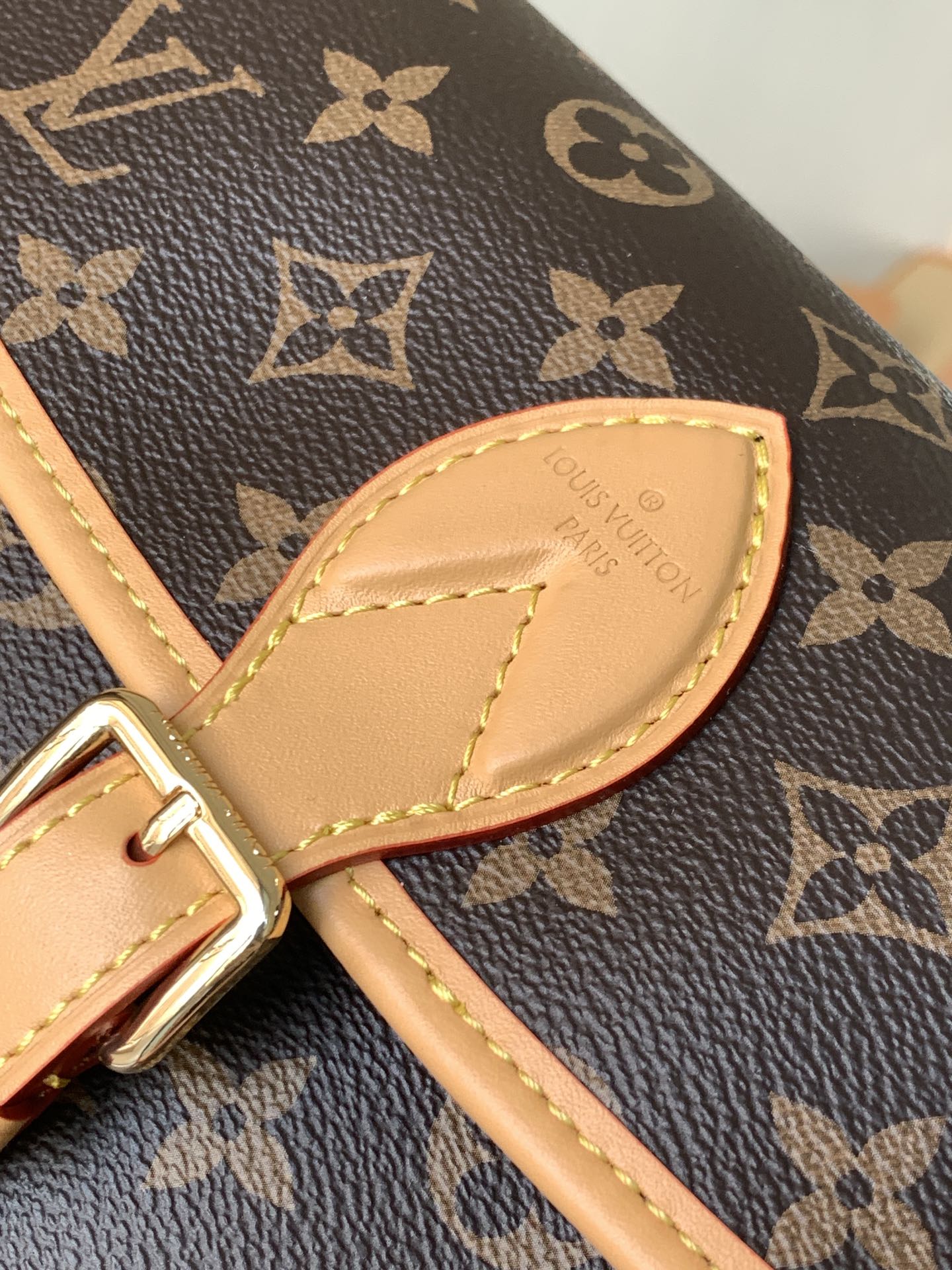 Louis Vuitton Handbag