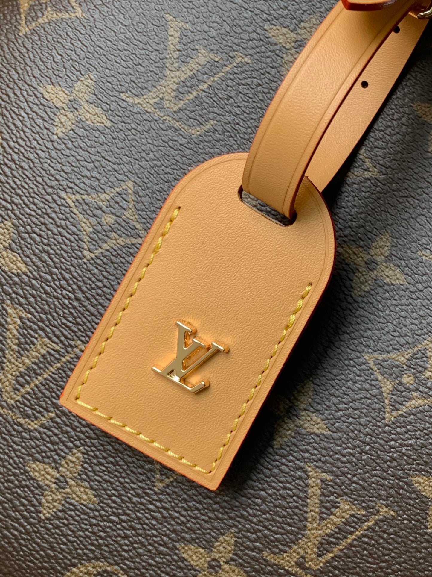 Louis Vuitton Handbag