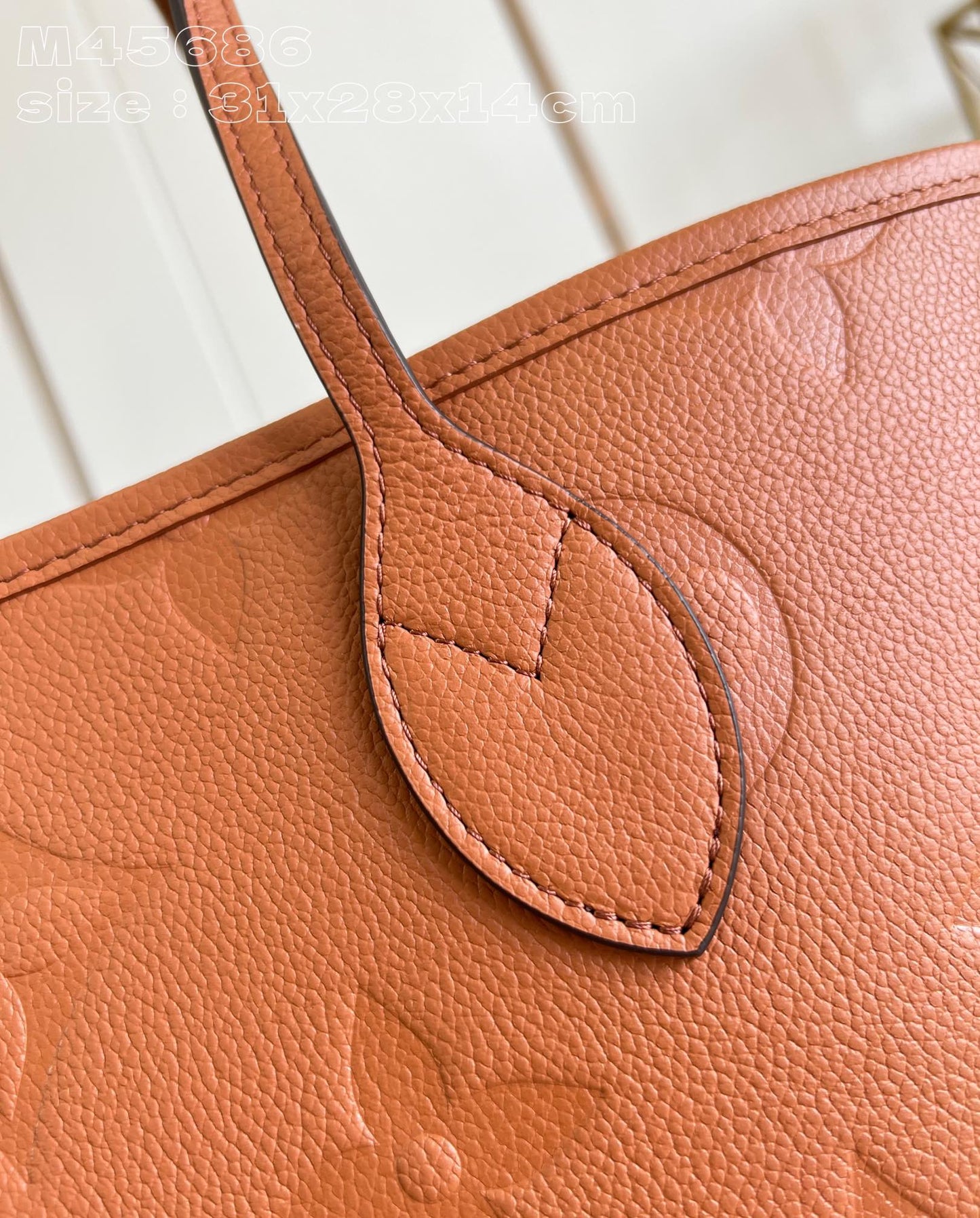 Louis Vuitton Handbag