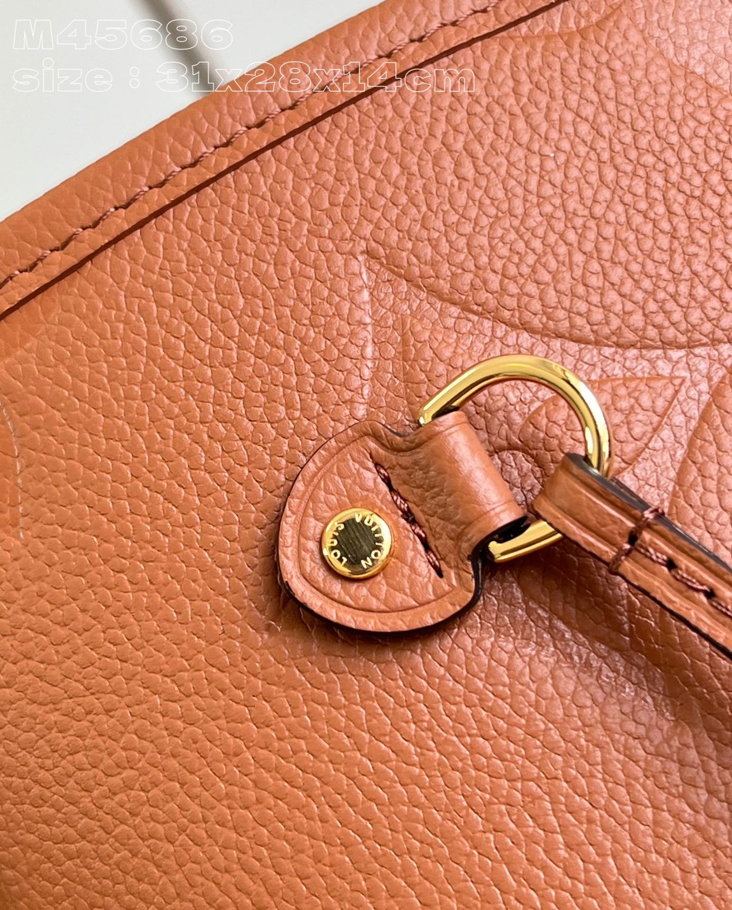 Louis Vuitton Handbag