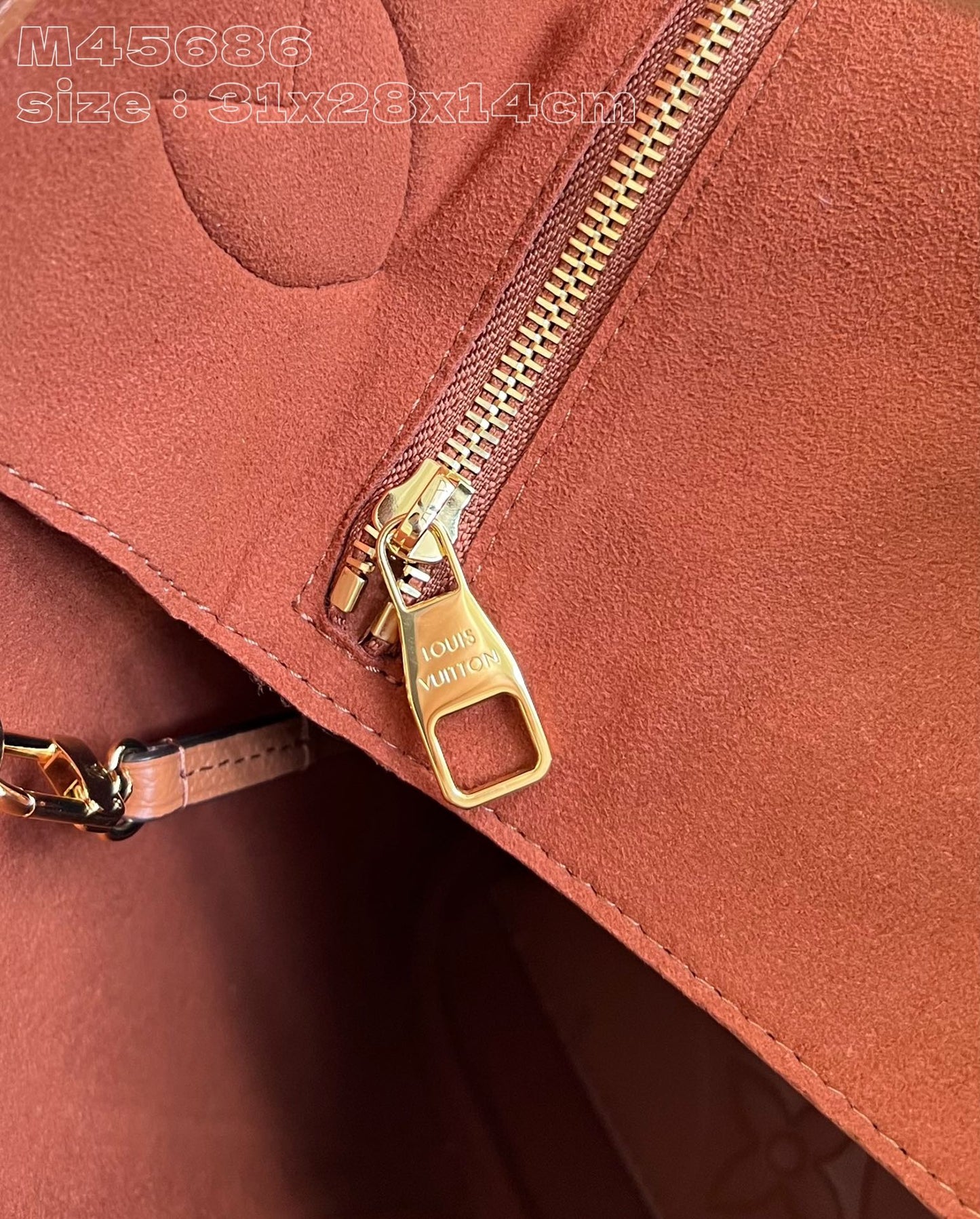 Louis Vuitton Handbag