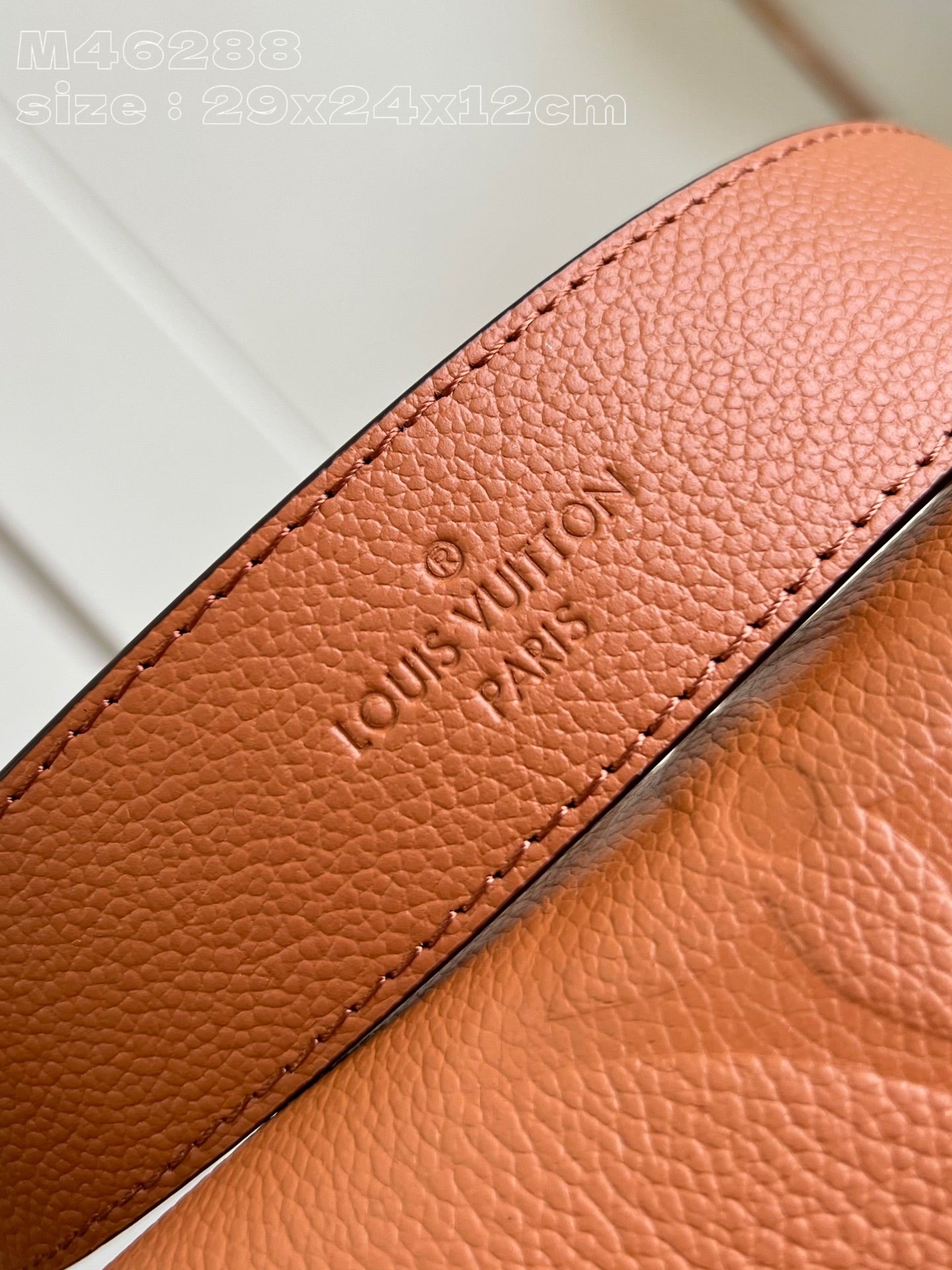 Louis Vuitton Handbag