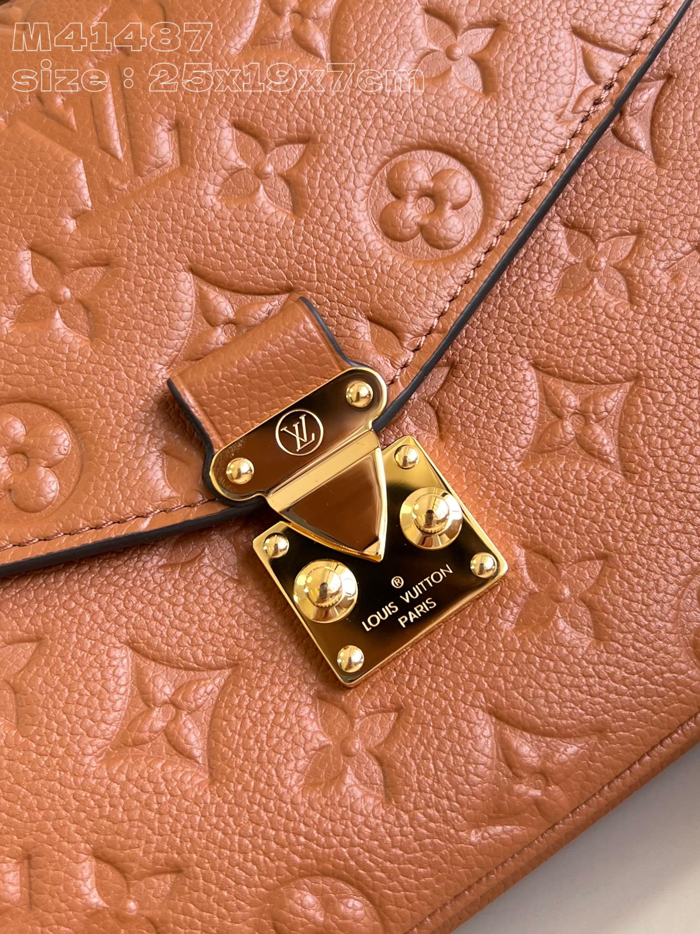 Louis Vuitton Handbag
