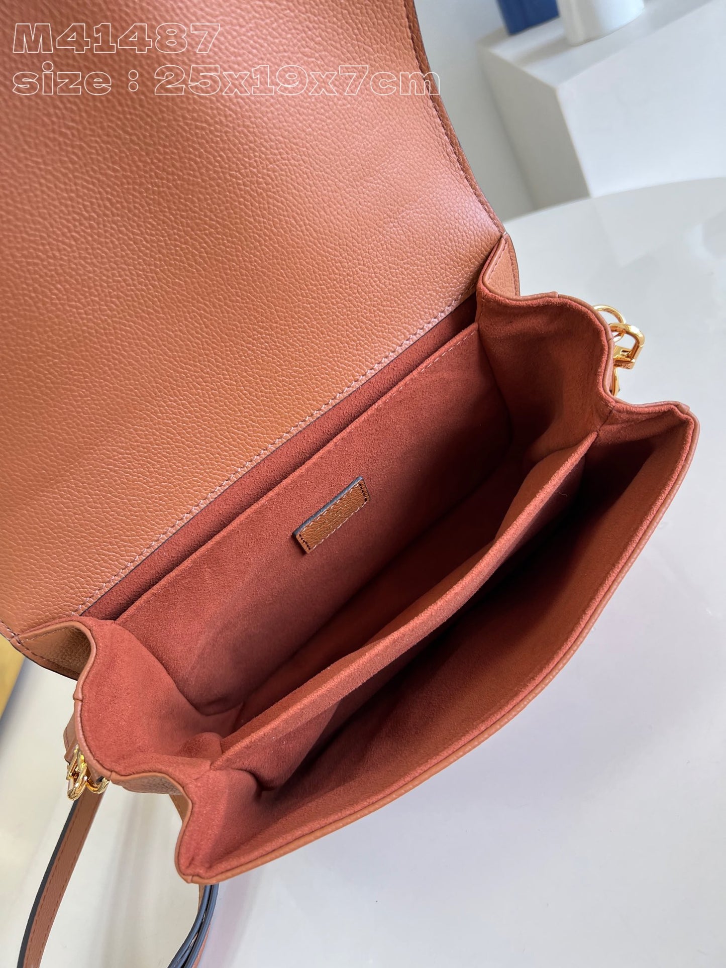 Louis Vuitton Handbag