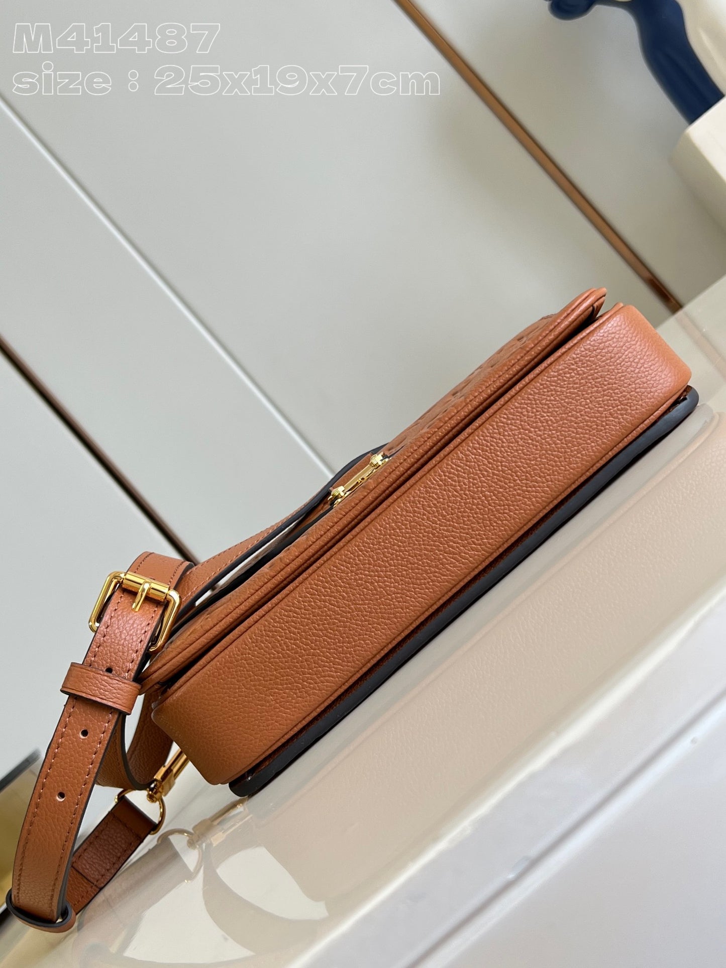 Louis Vuitton Handbag