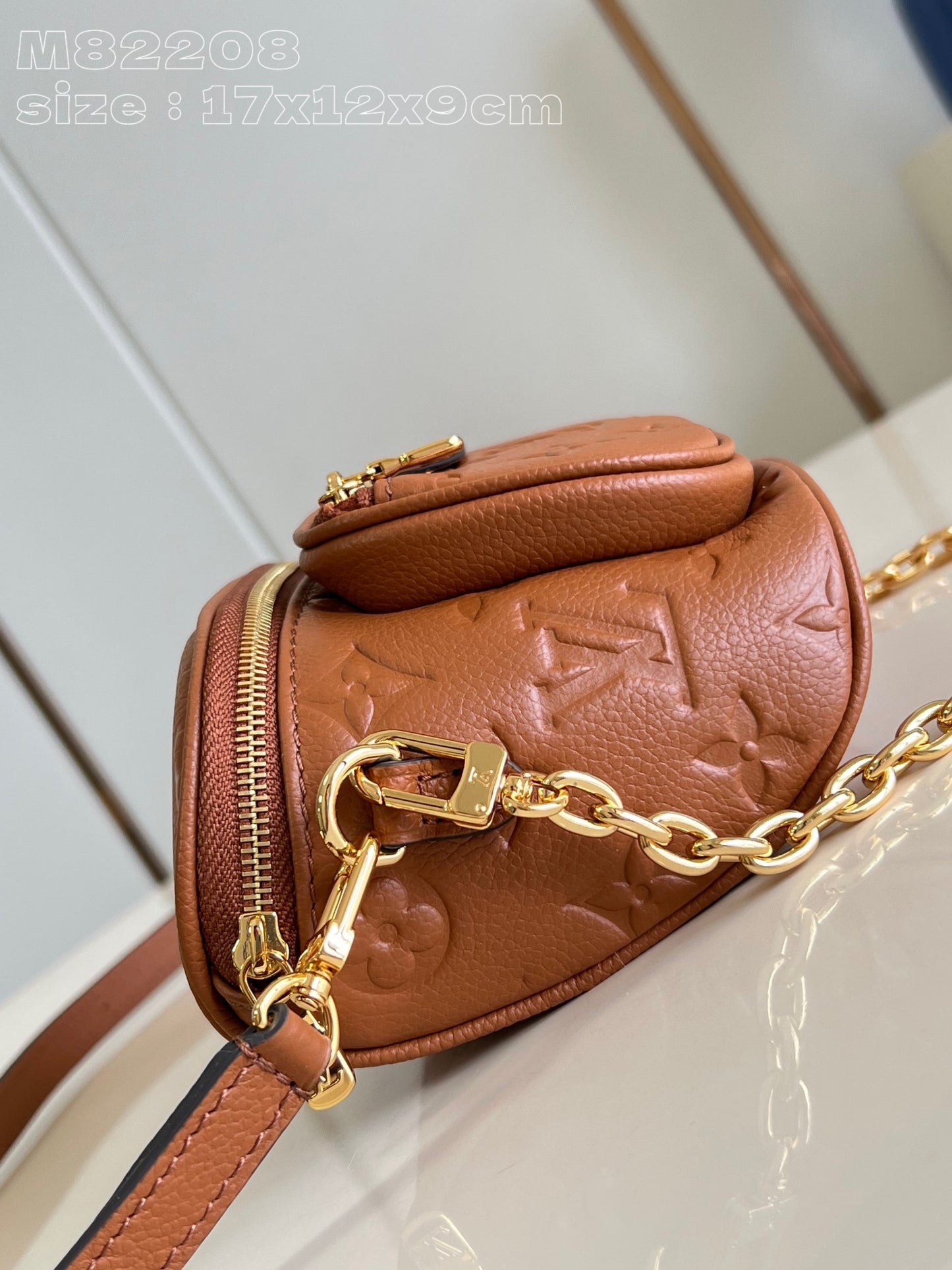 Louis Vuitton Handbag