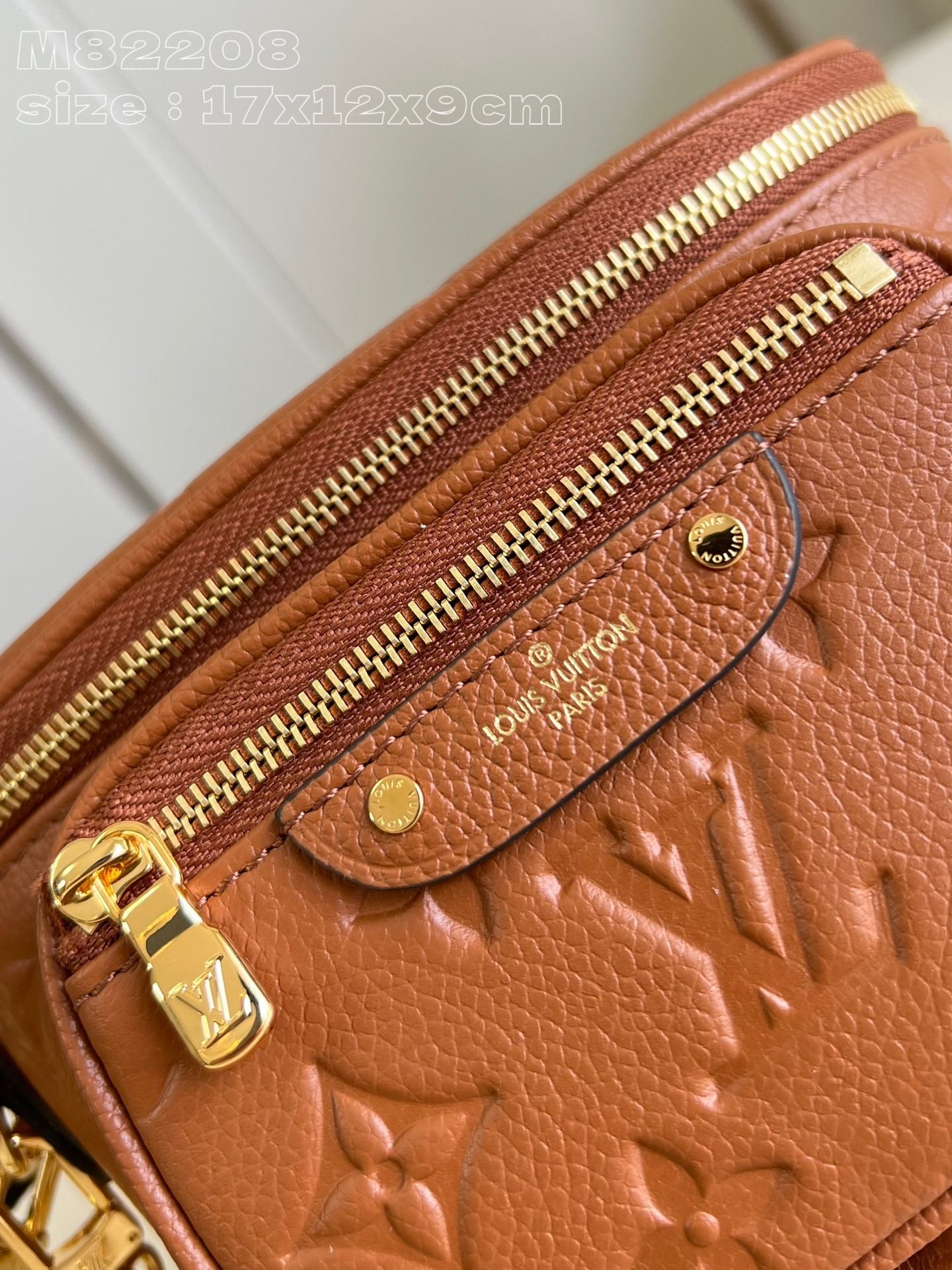 Louis Vuitton Handbag