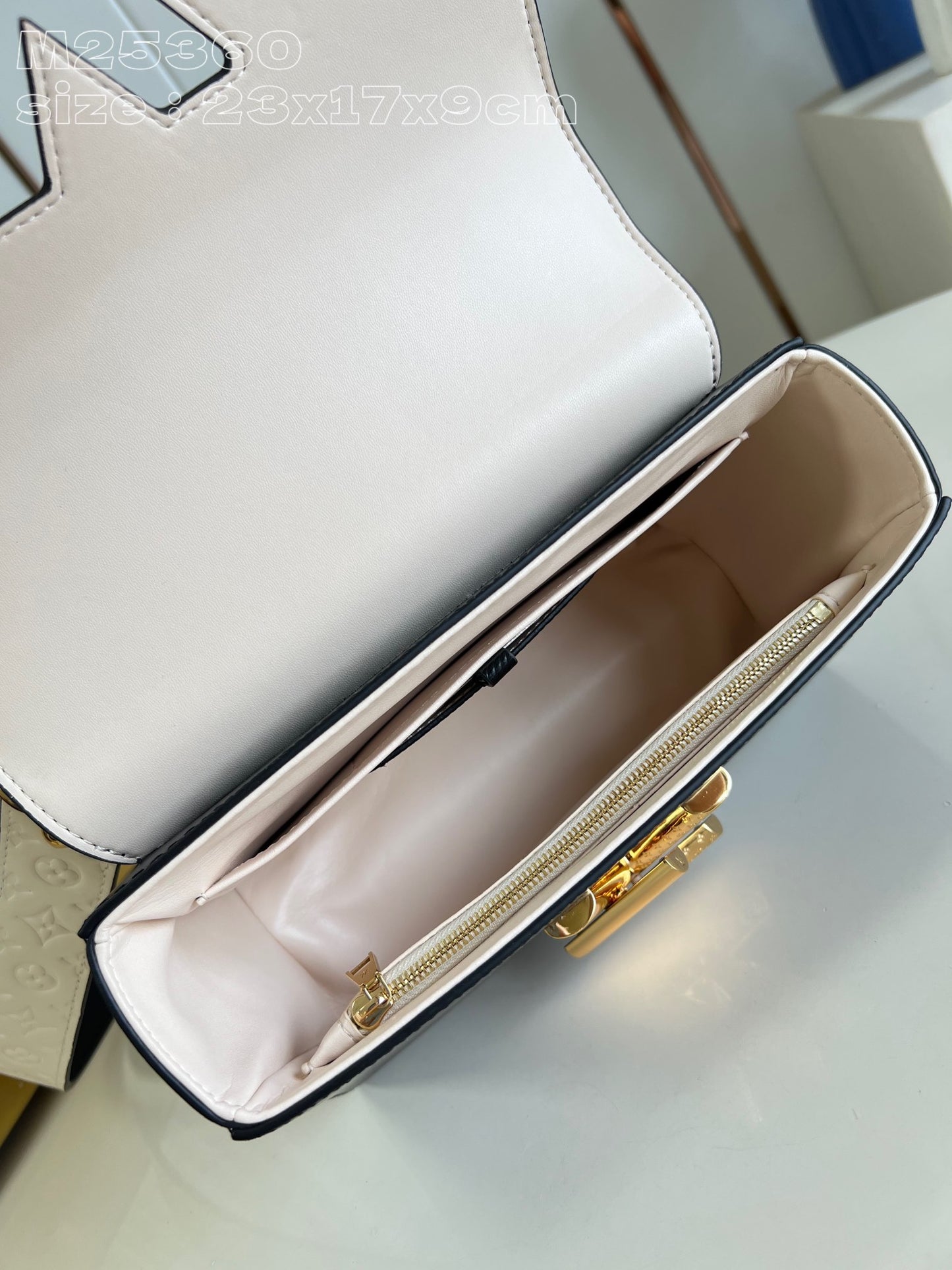 Louis Vuitton Handbag