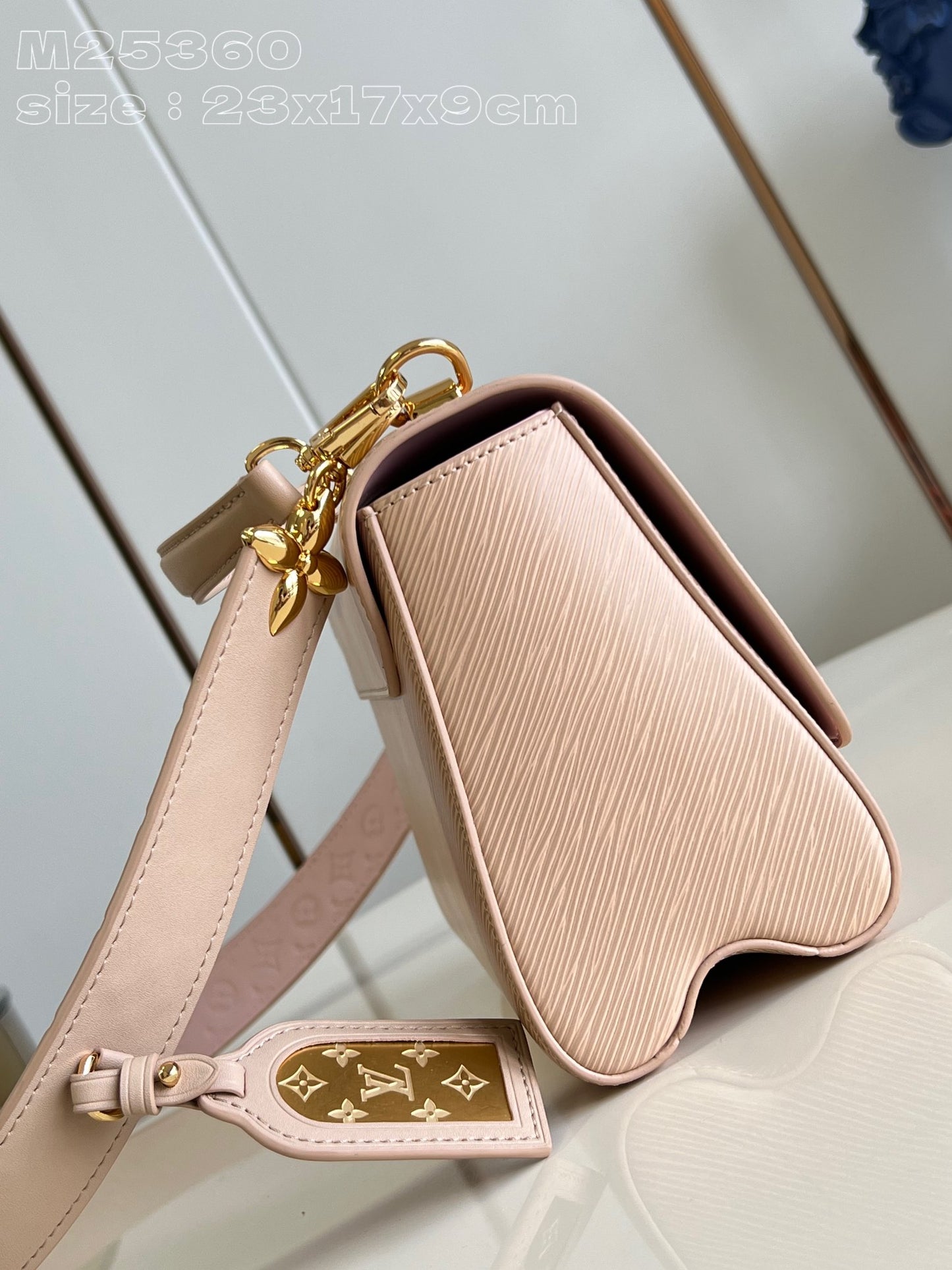 Louis Vuitton Handbag