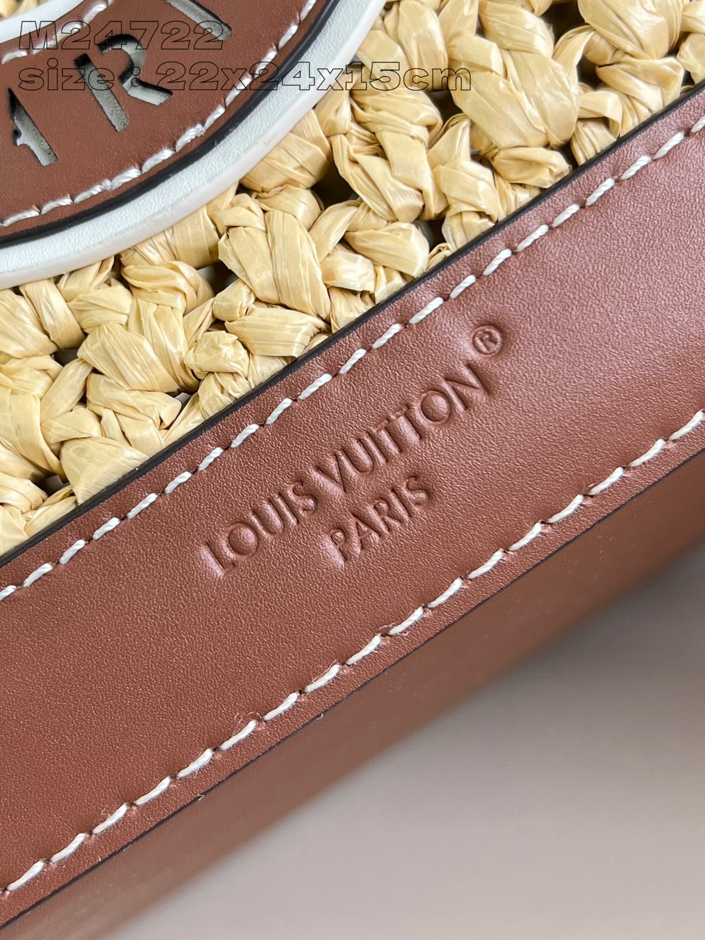 Louis Vuitton Handbag