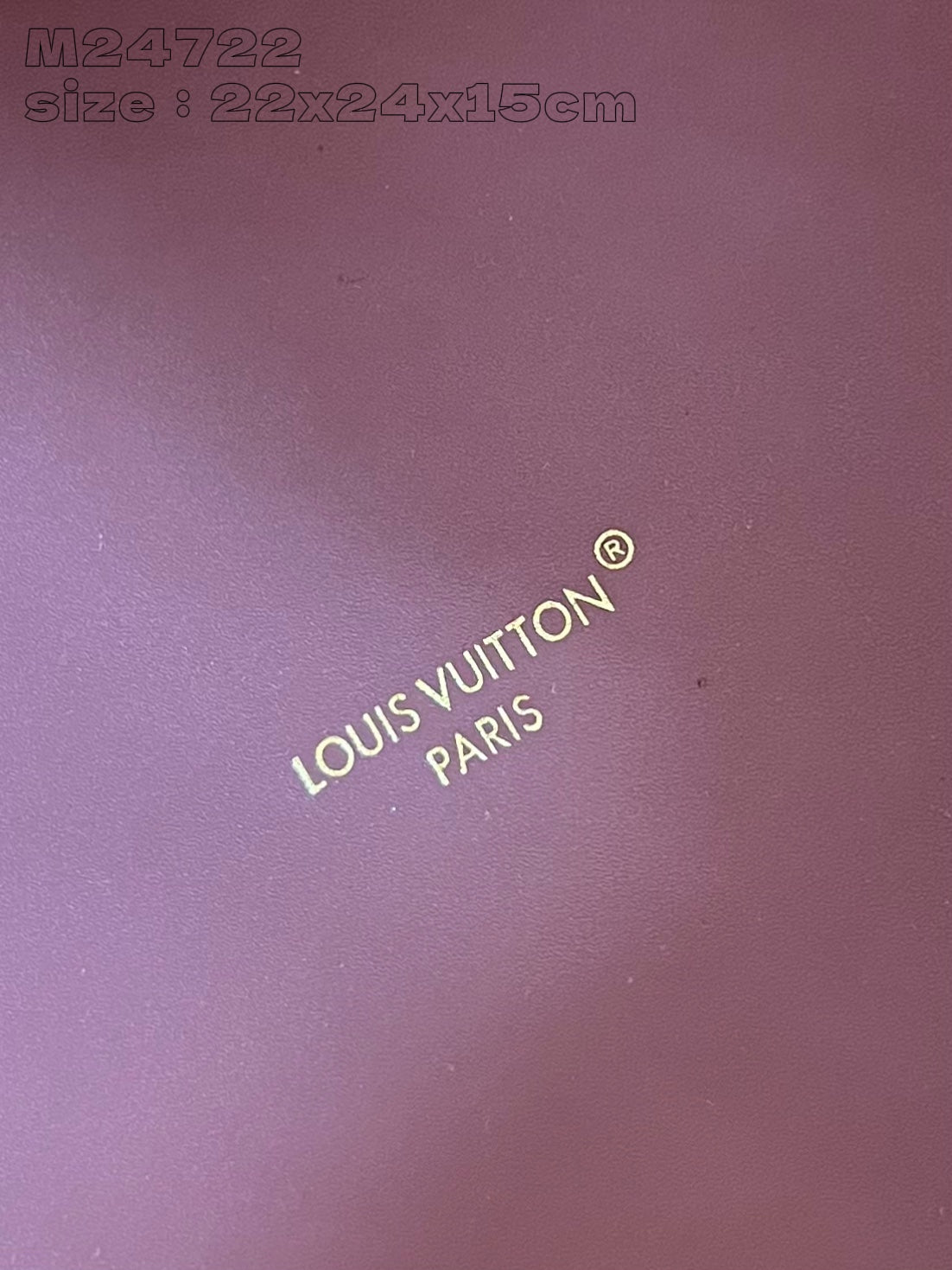 Louis Vuitton Handbag