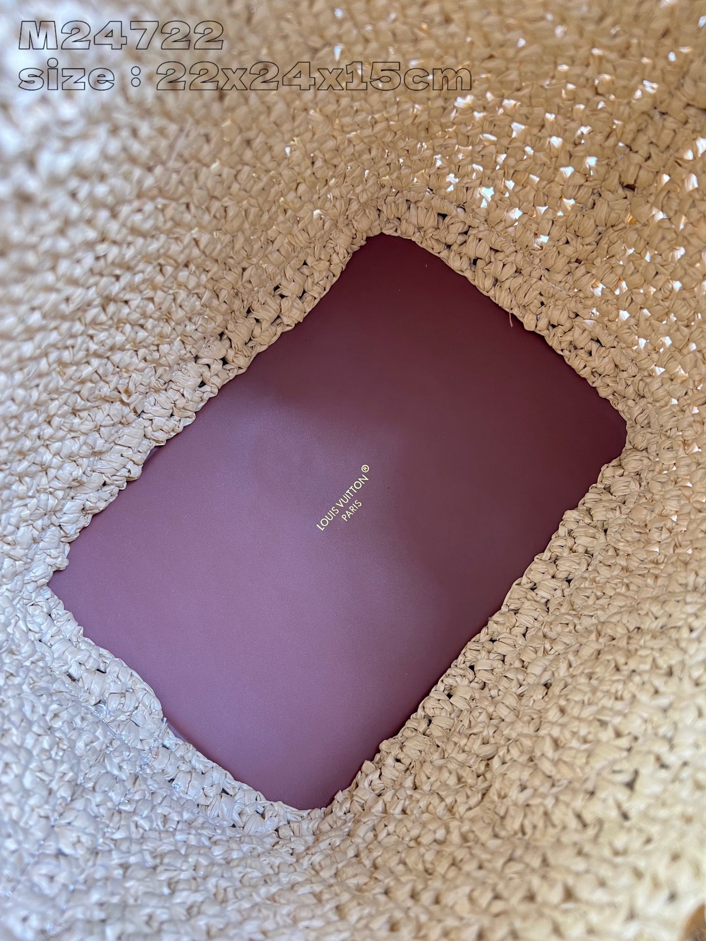 Louis Vuitton Handbag