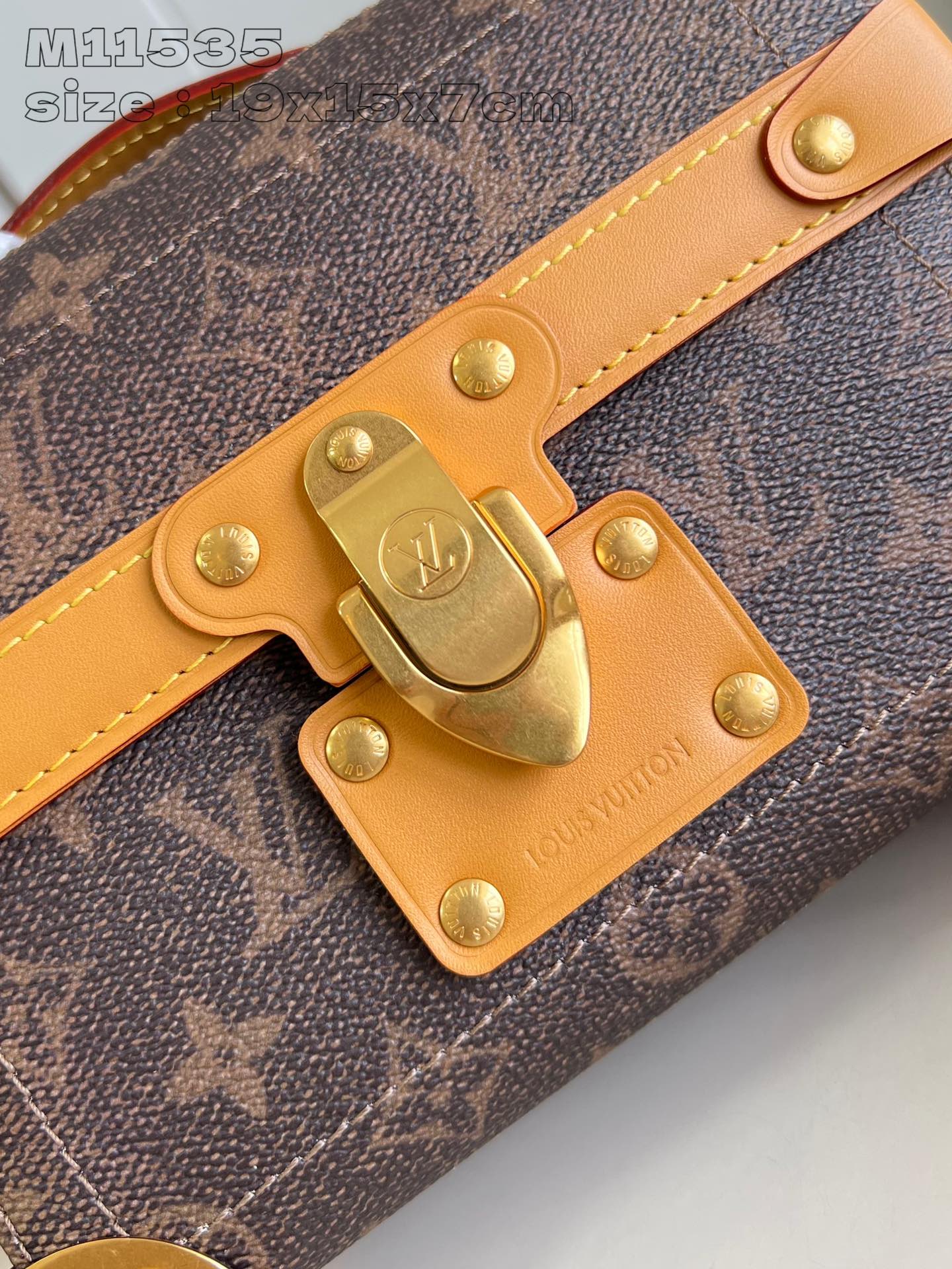 Louis Vuitton Handbag