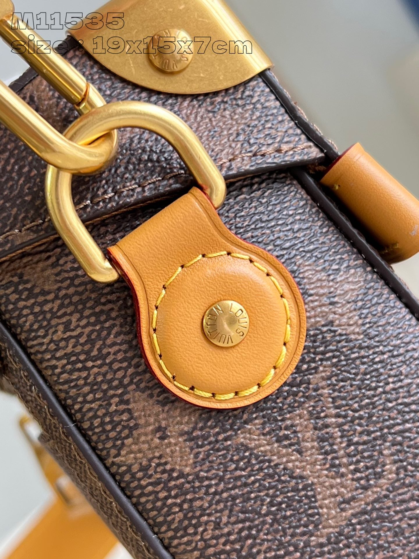 Louis Vuitton Handbag