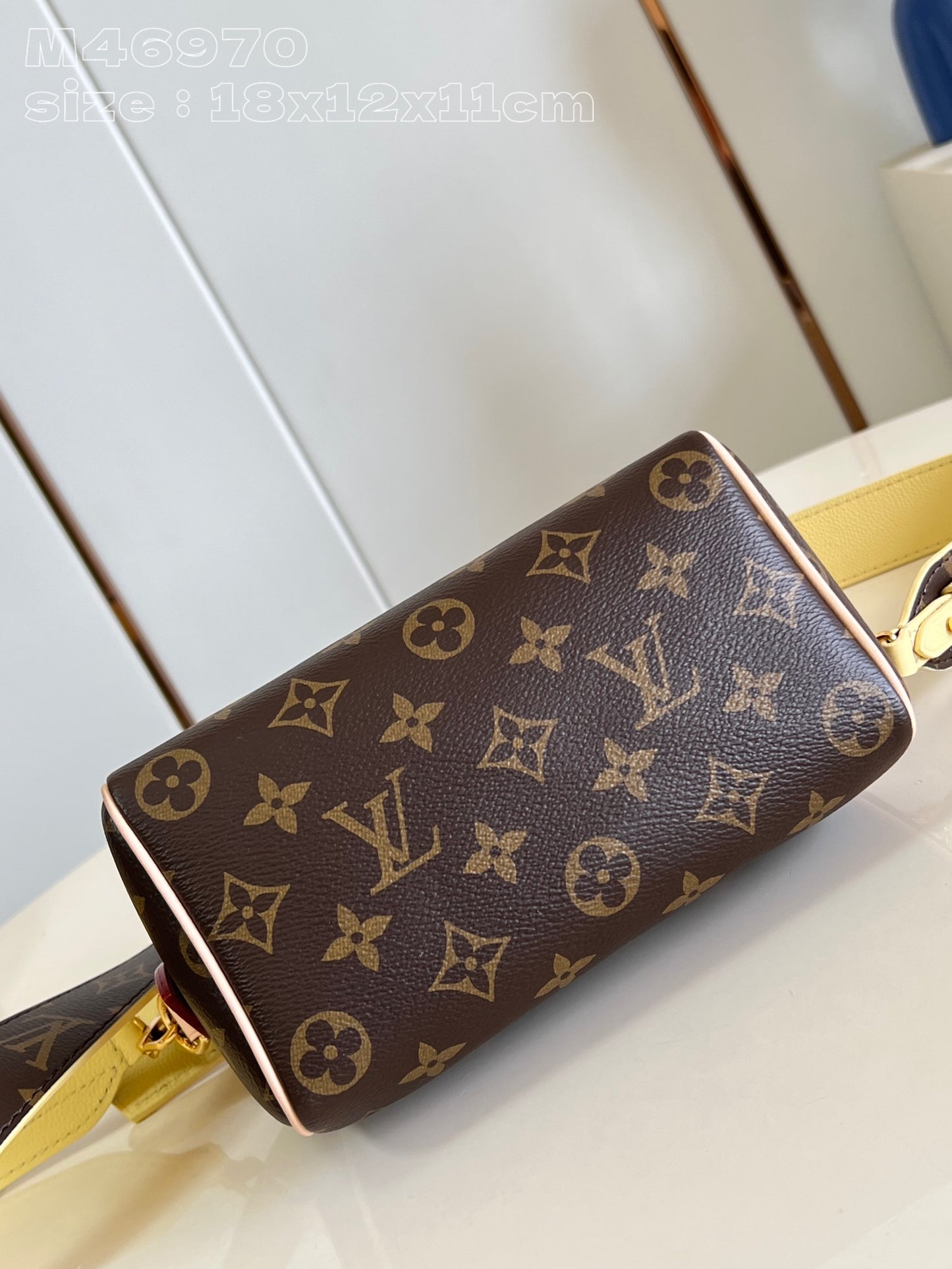 Louis Vuitton Handbag