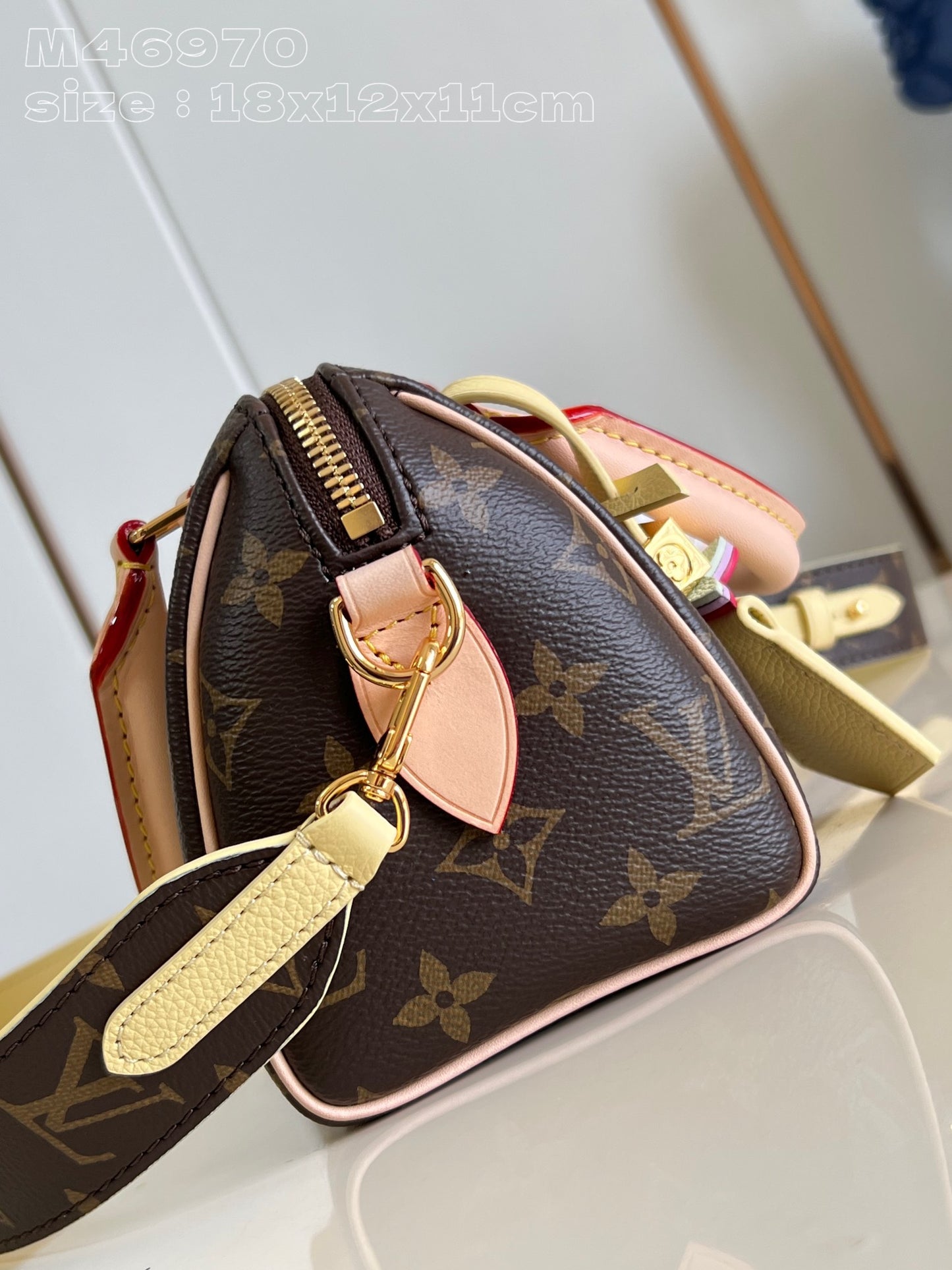 Louis Vuitton Handbag