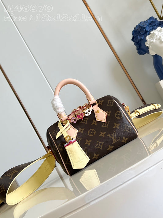 Louis Vuitton Handbag