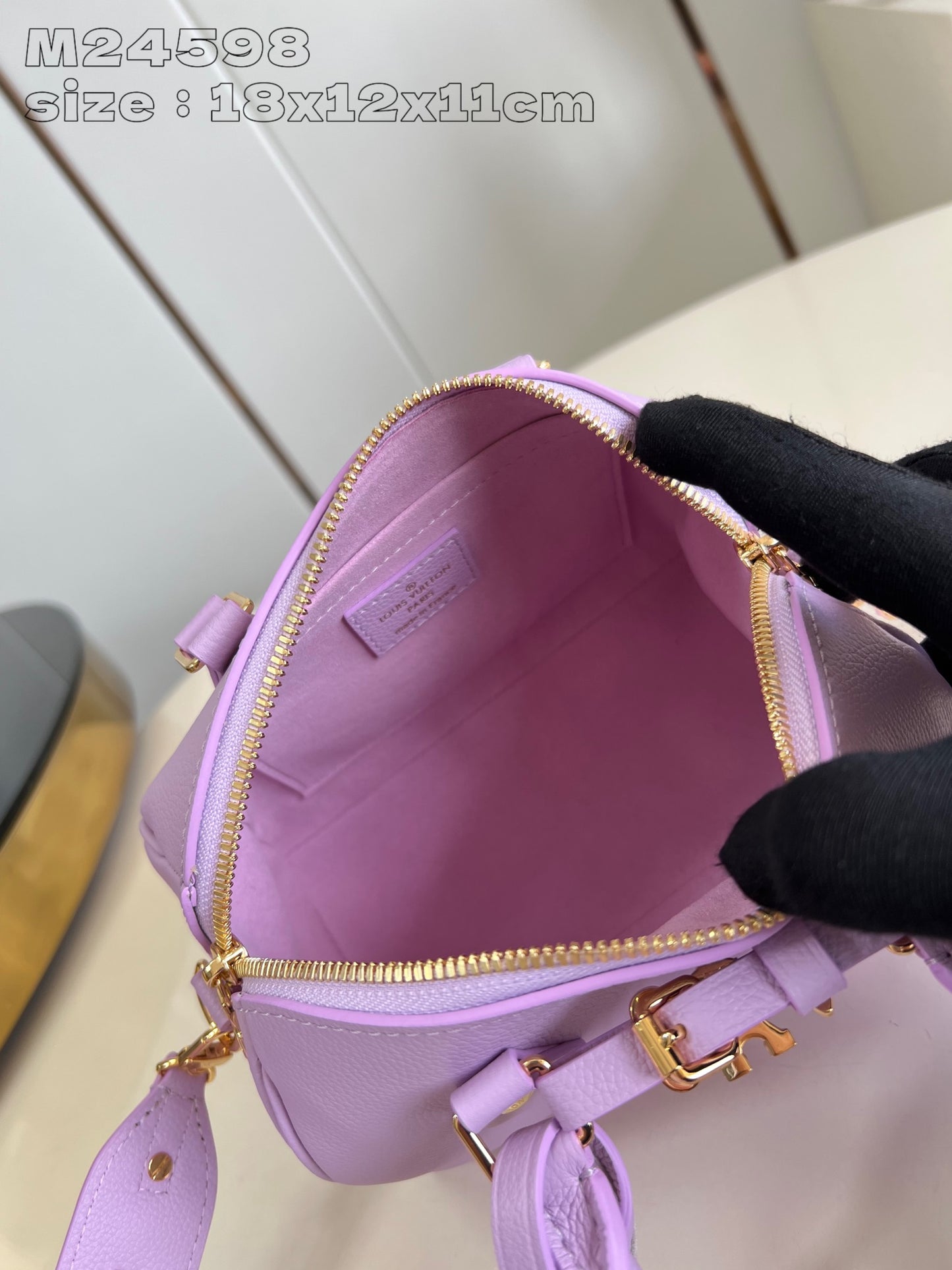 Louis Vuitton Handbag