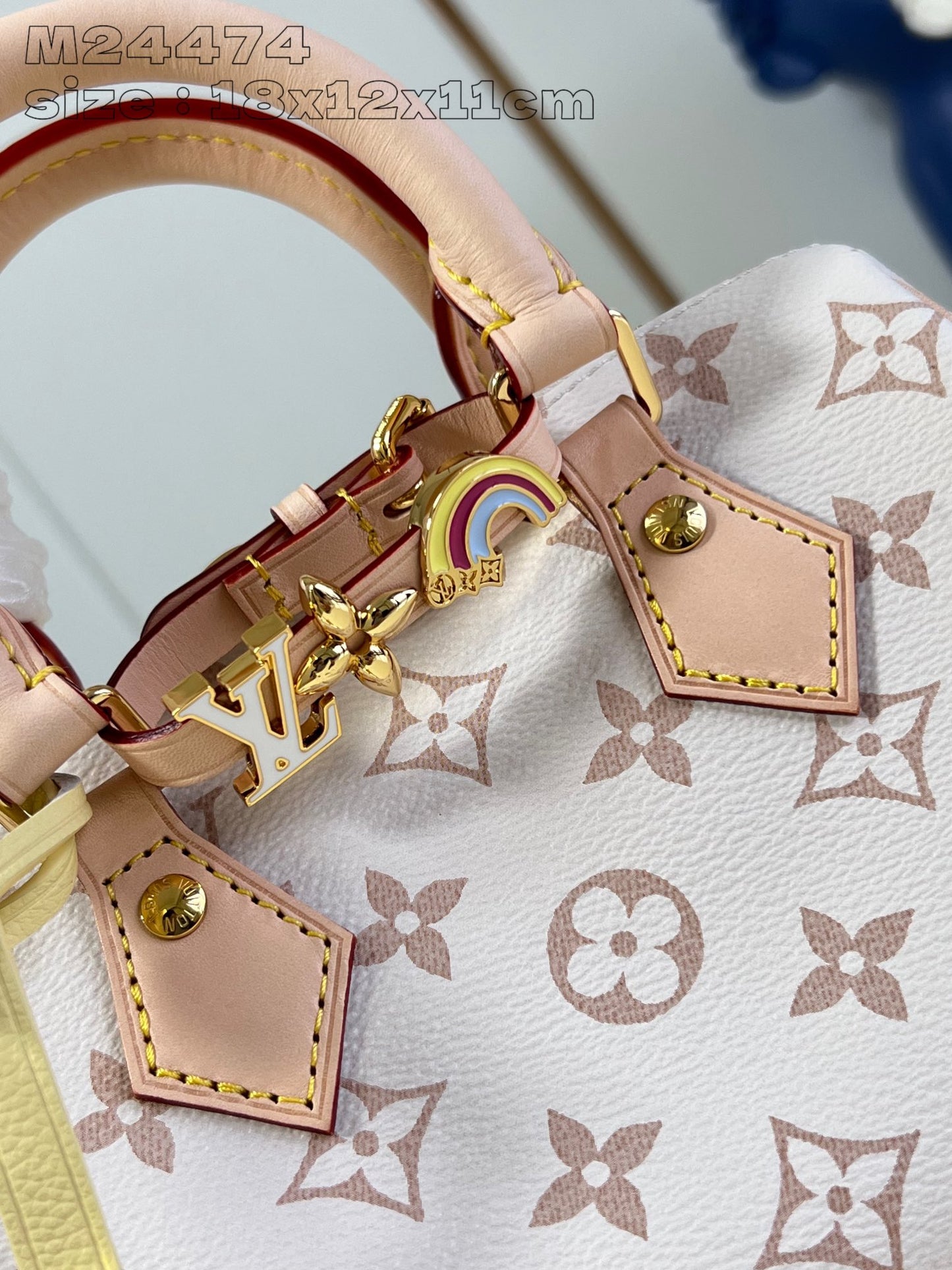 Louis Vuitton Handbag