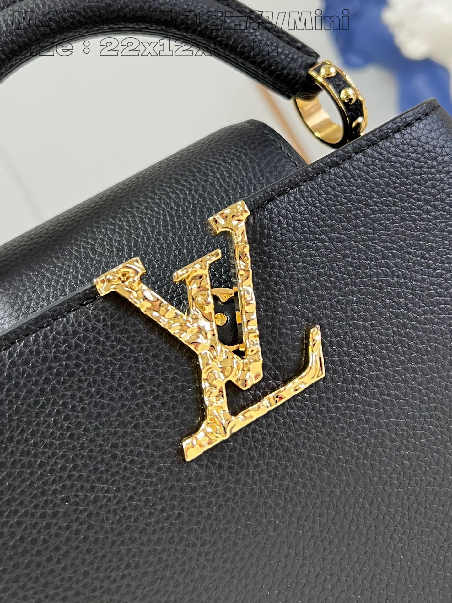 Louis Vuitton Handbag