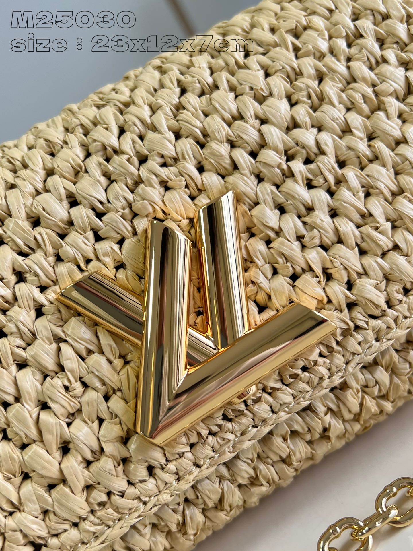 Louis Vuitton Handbag