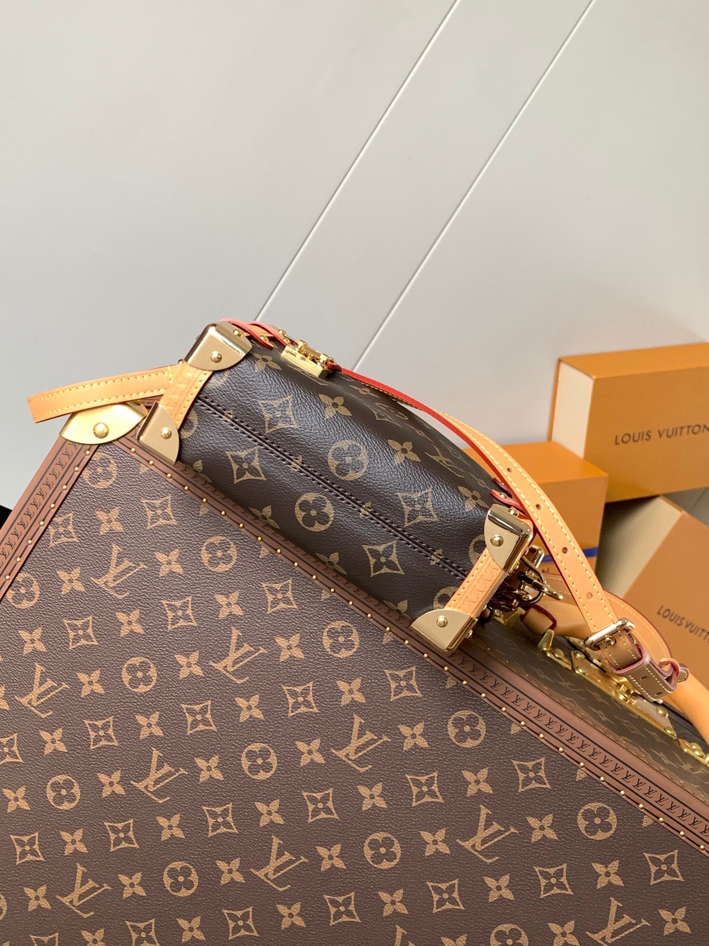 Louis Vuitton Handbag