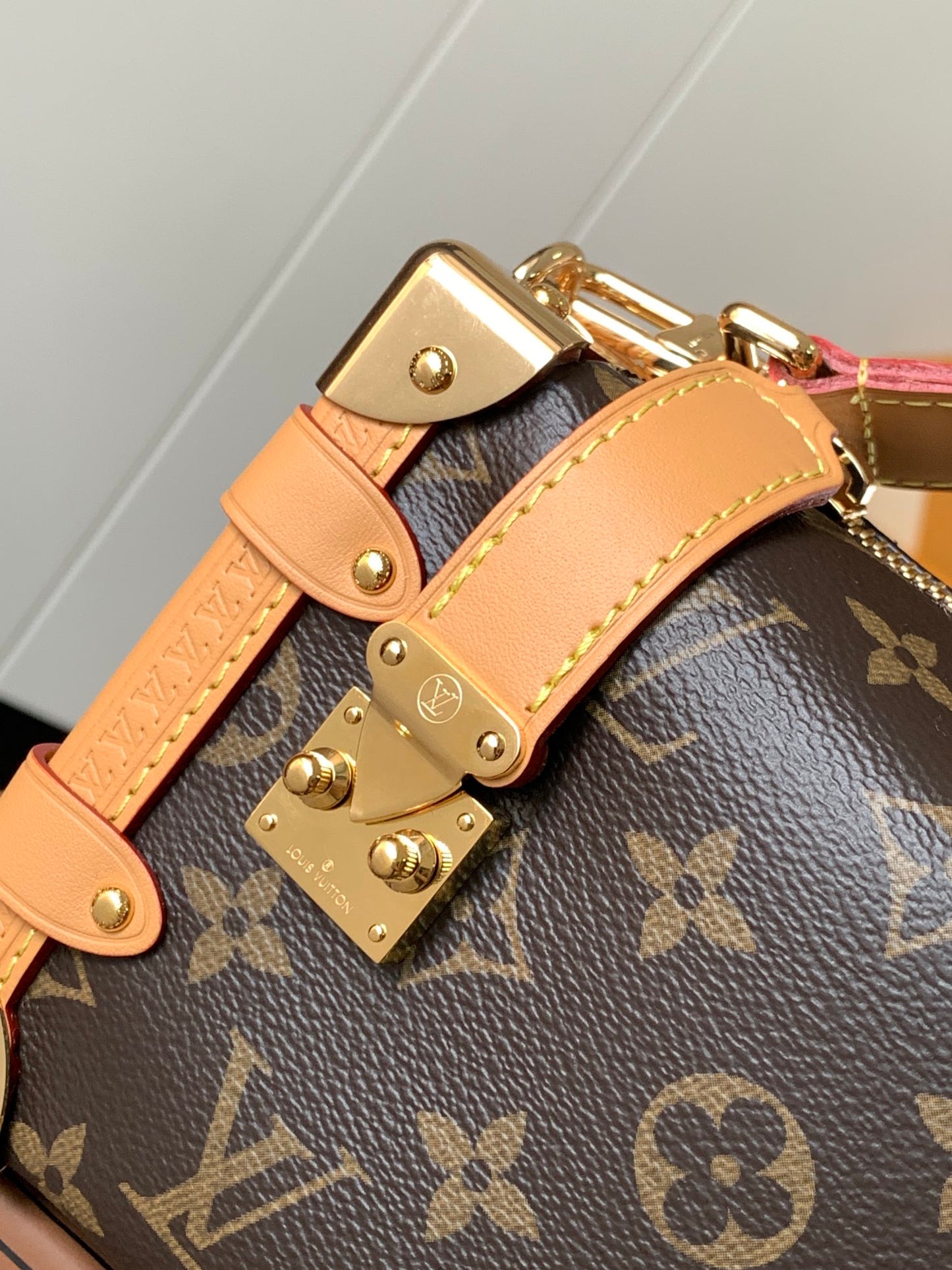 Louis Vuitton Handbag