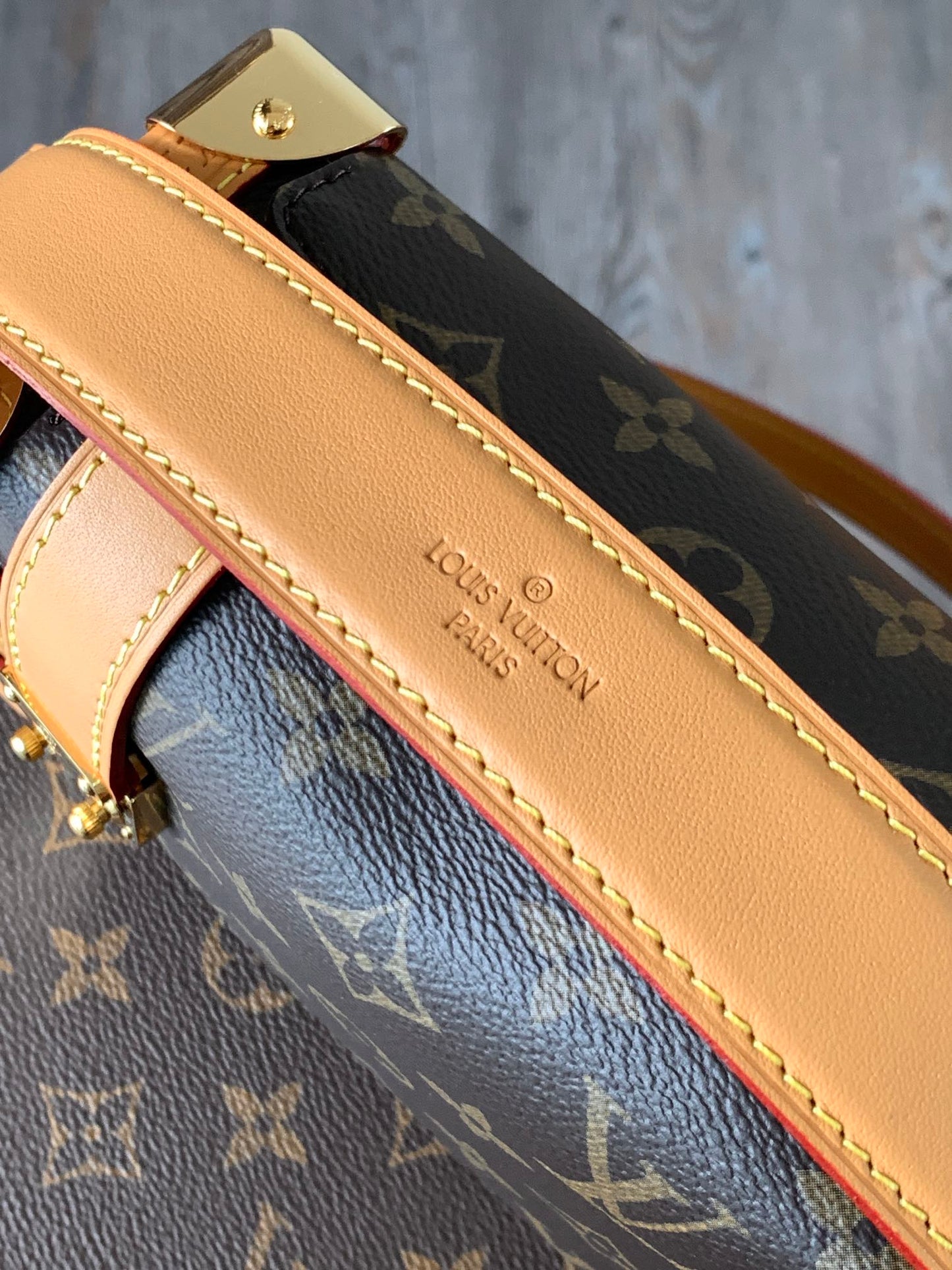 Louis Vuitton Handbag