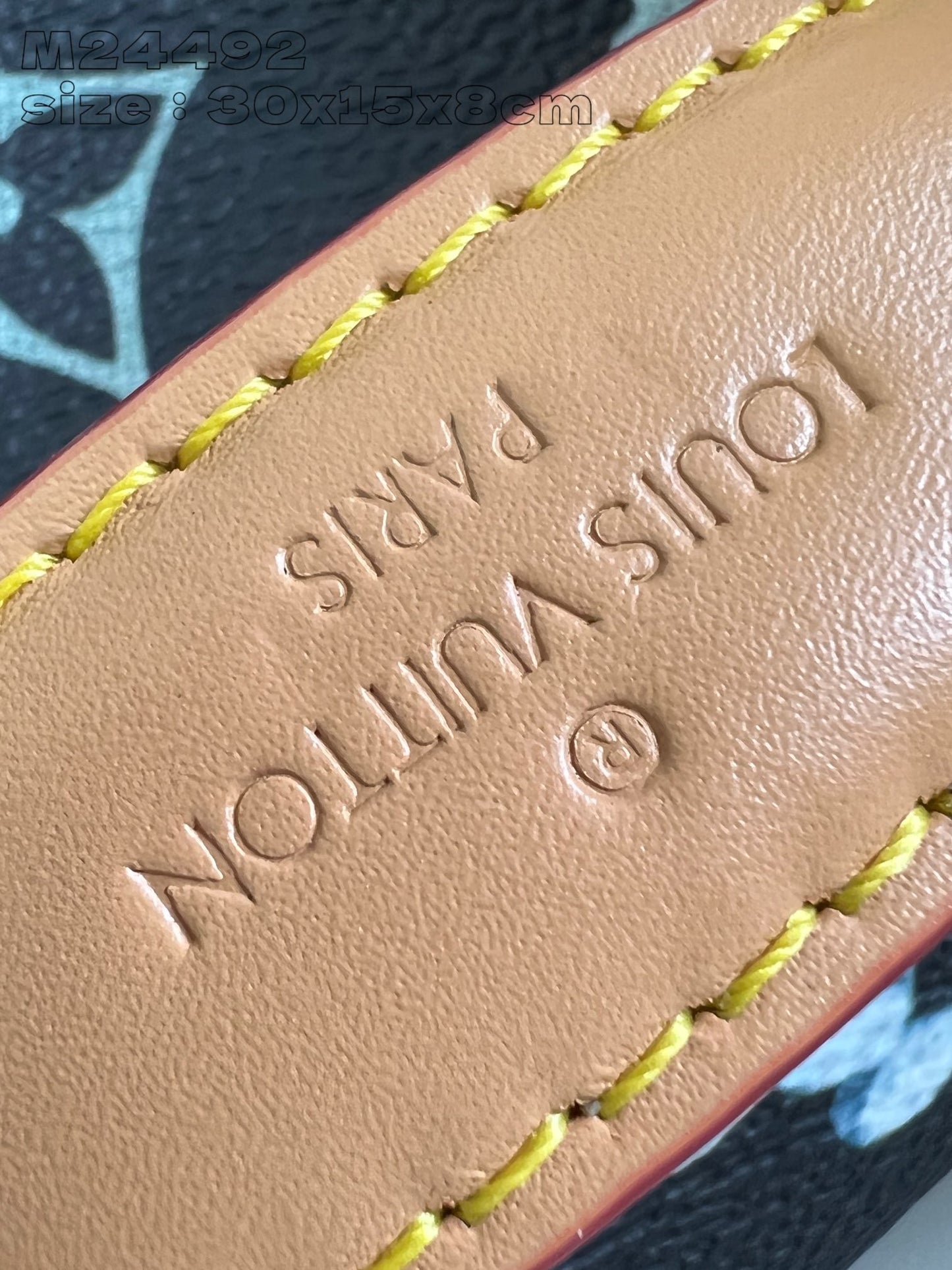 Louis Vuitton Handbag