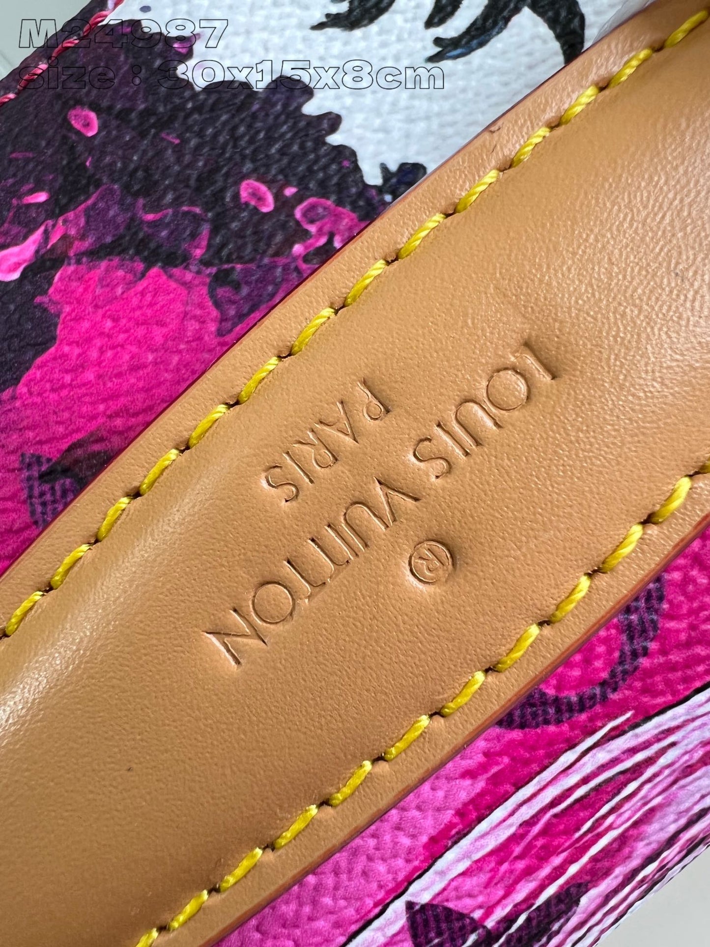 Louis Vuitton Handbag