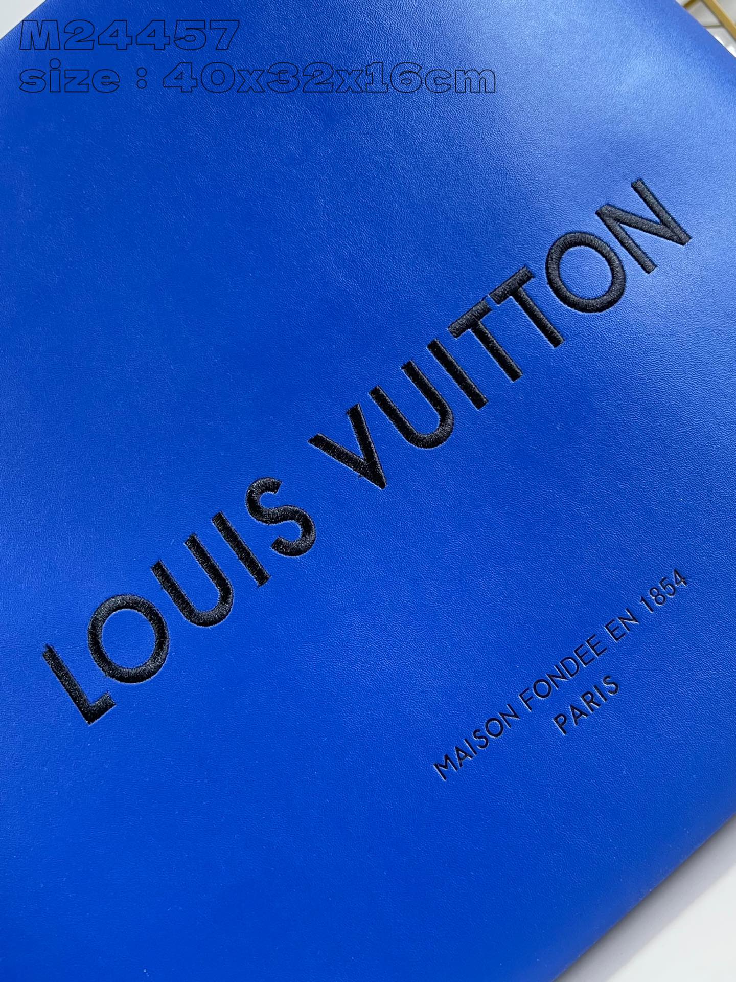Louis Vuitton Handbag