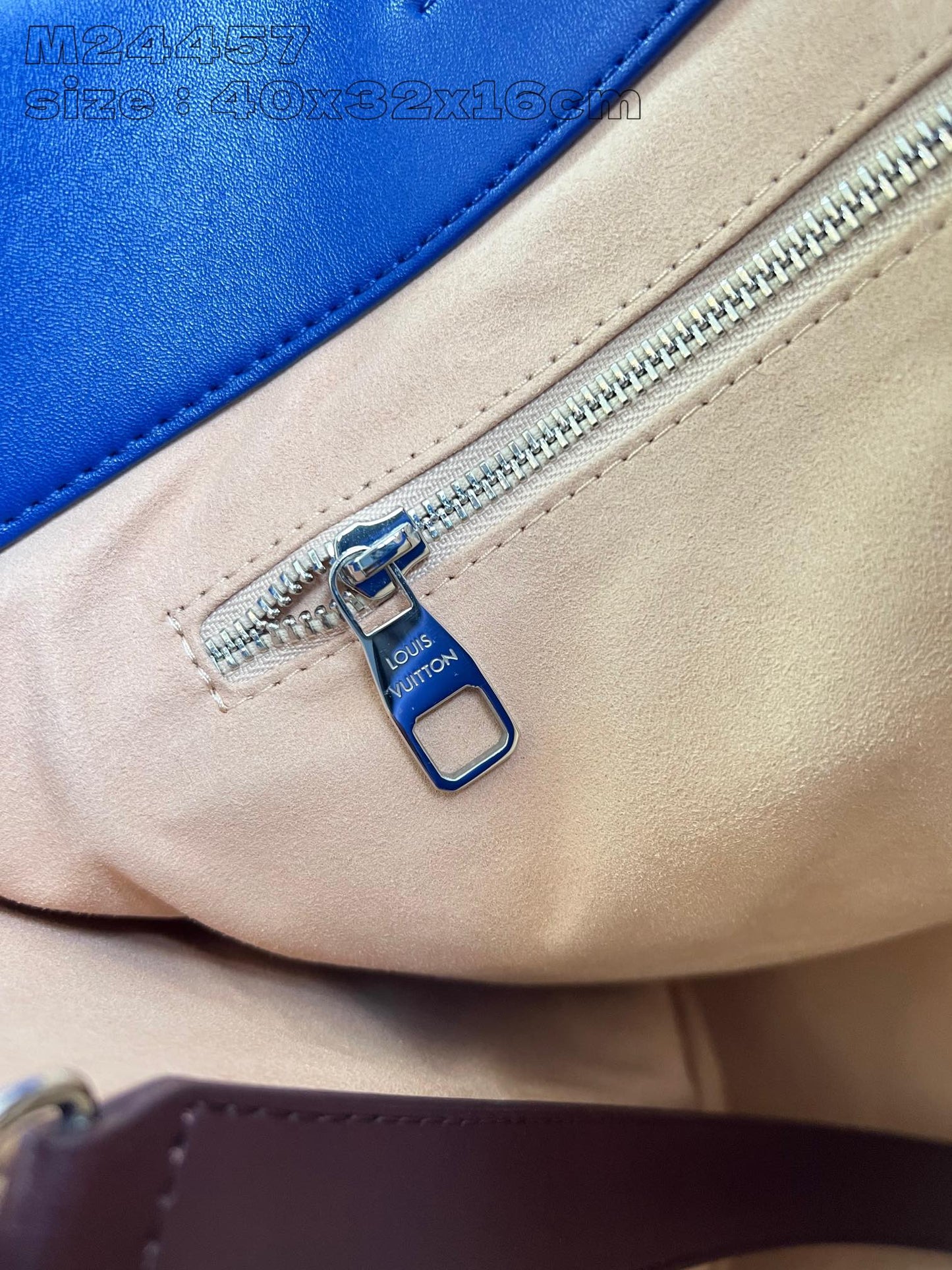 Louis Vuitton Handbag