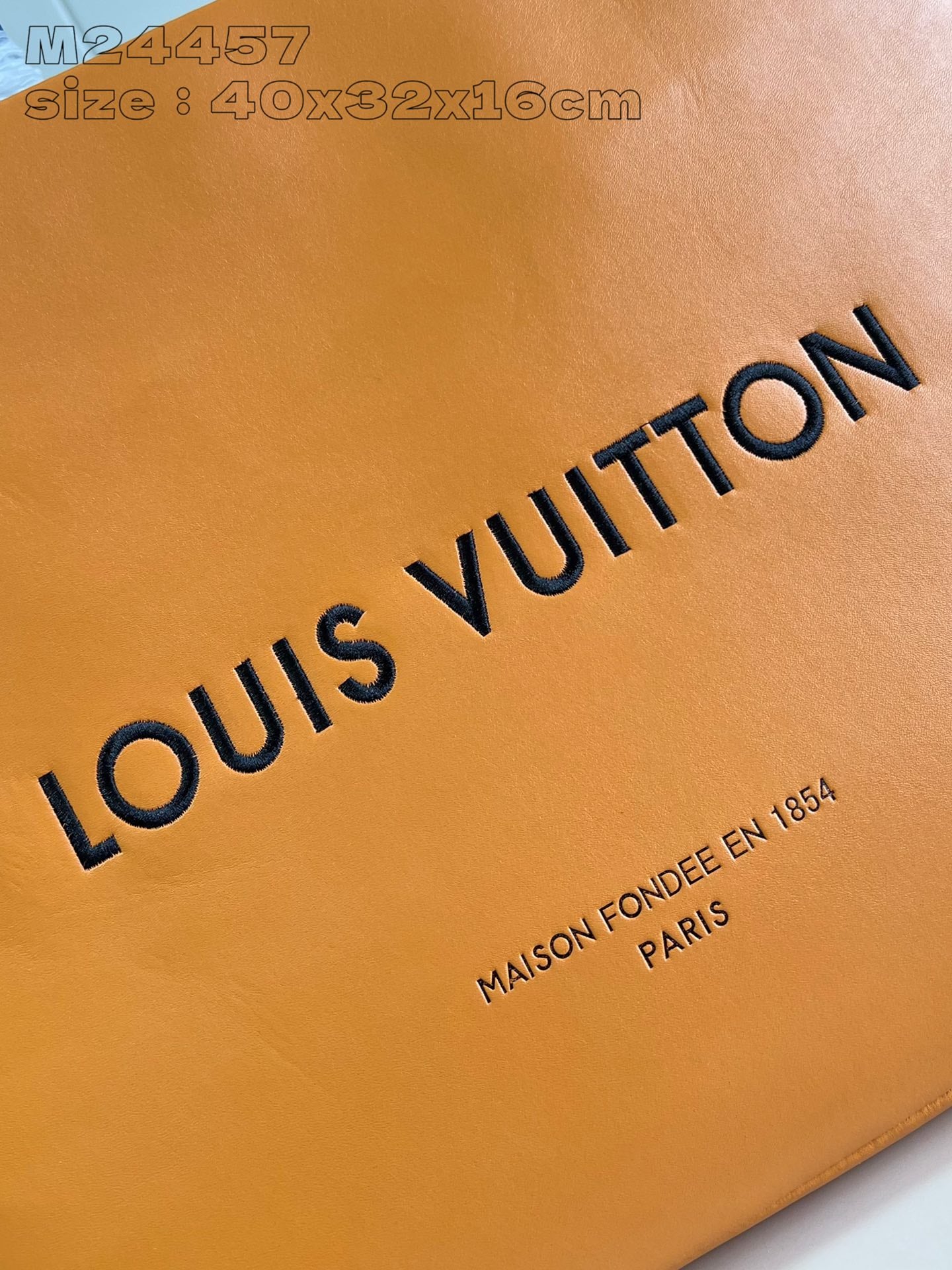 Louis Vuitton Handbag